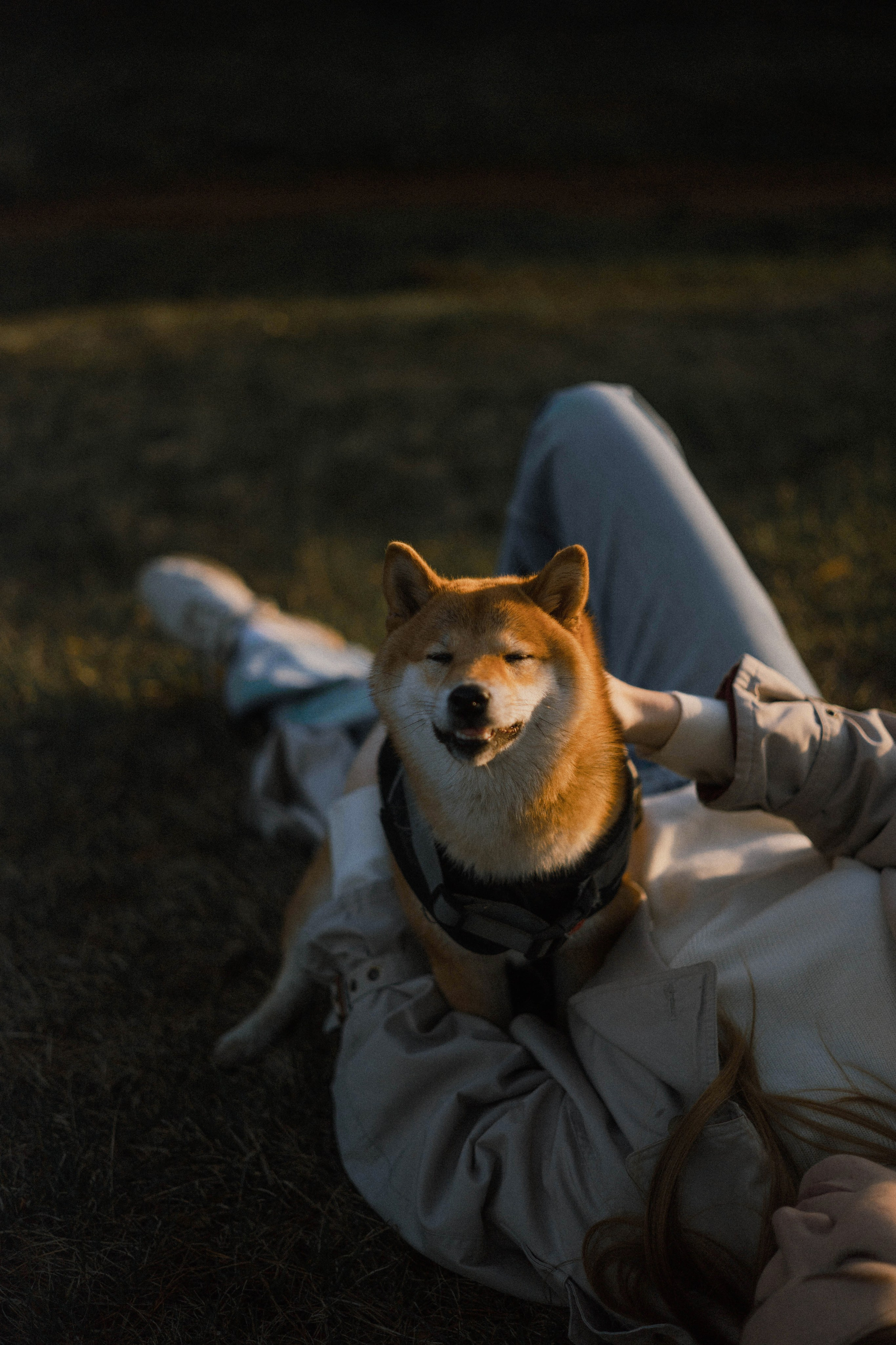 Аня и Шани. Фотограф-анималист Богданова Полина