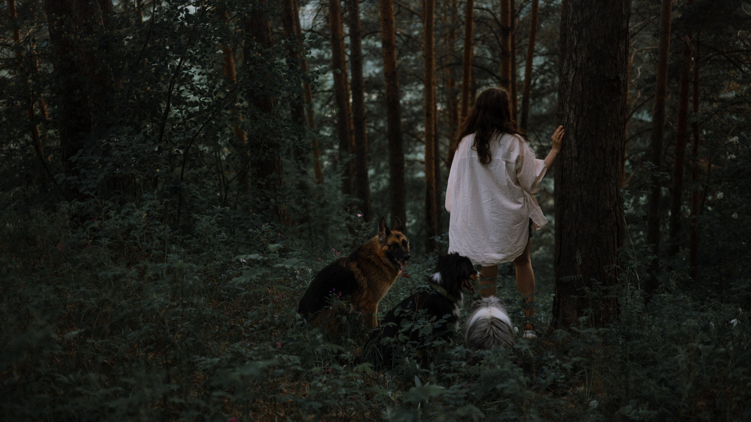 Настя, Шуня, Милка и Тигуан. Фотограф-анималист Богданова Полина