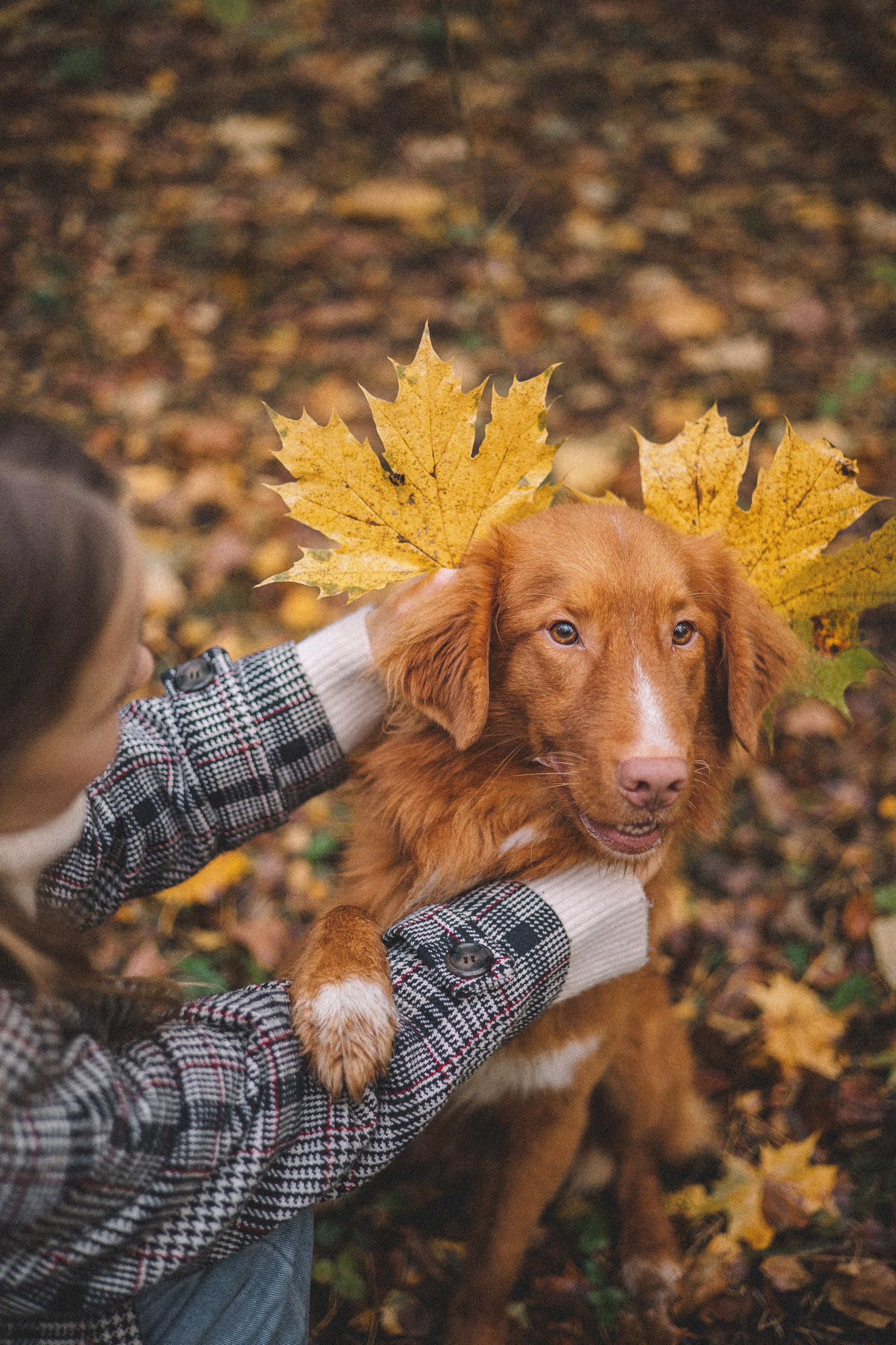 Алина и Бис. Фотограф-анималист Богданова Полина
