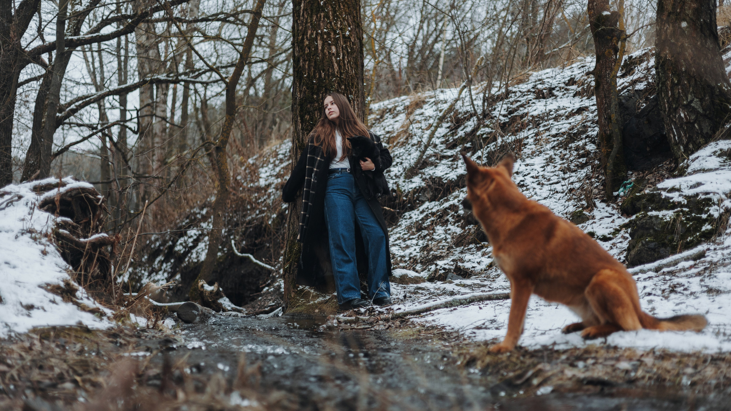 Юля, Лара и Йоми. Фотограф-анималист Богданова Полина
