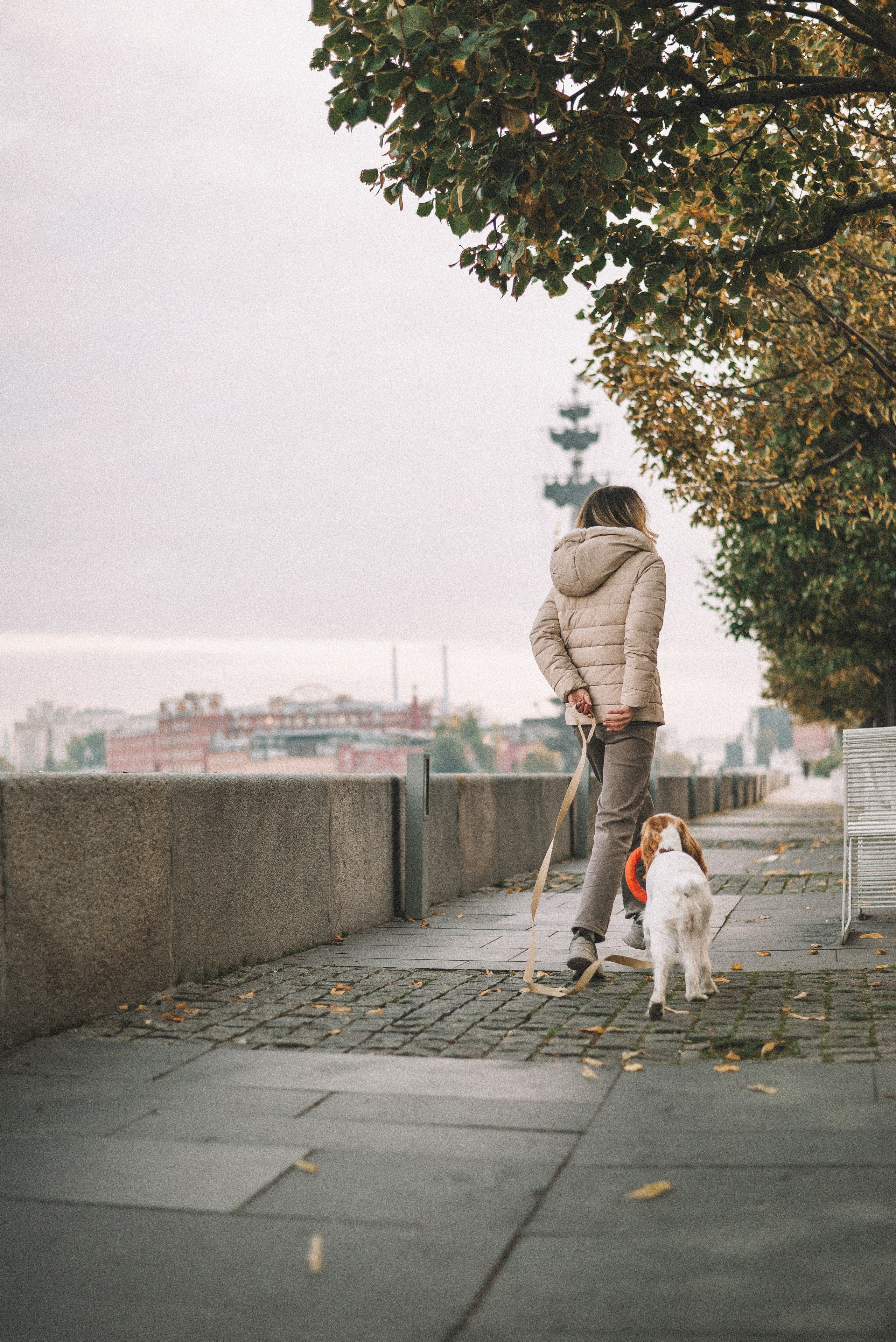 Маша и Вега. Фотограф-анималист Богданова Полина