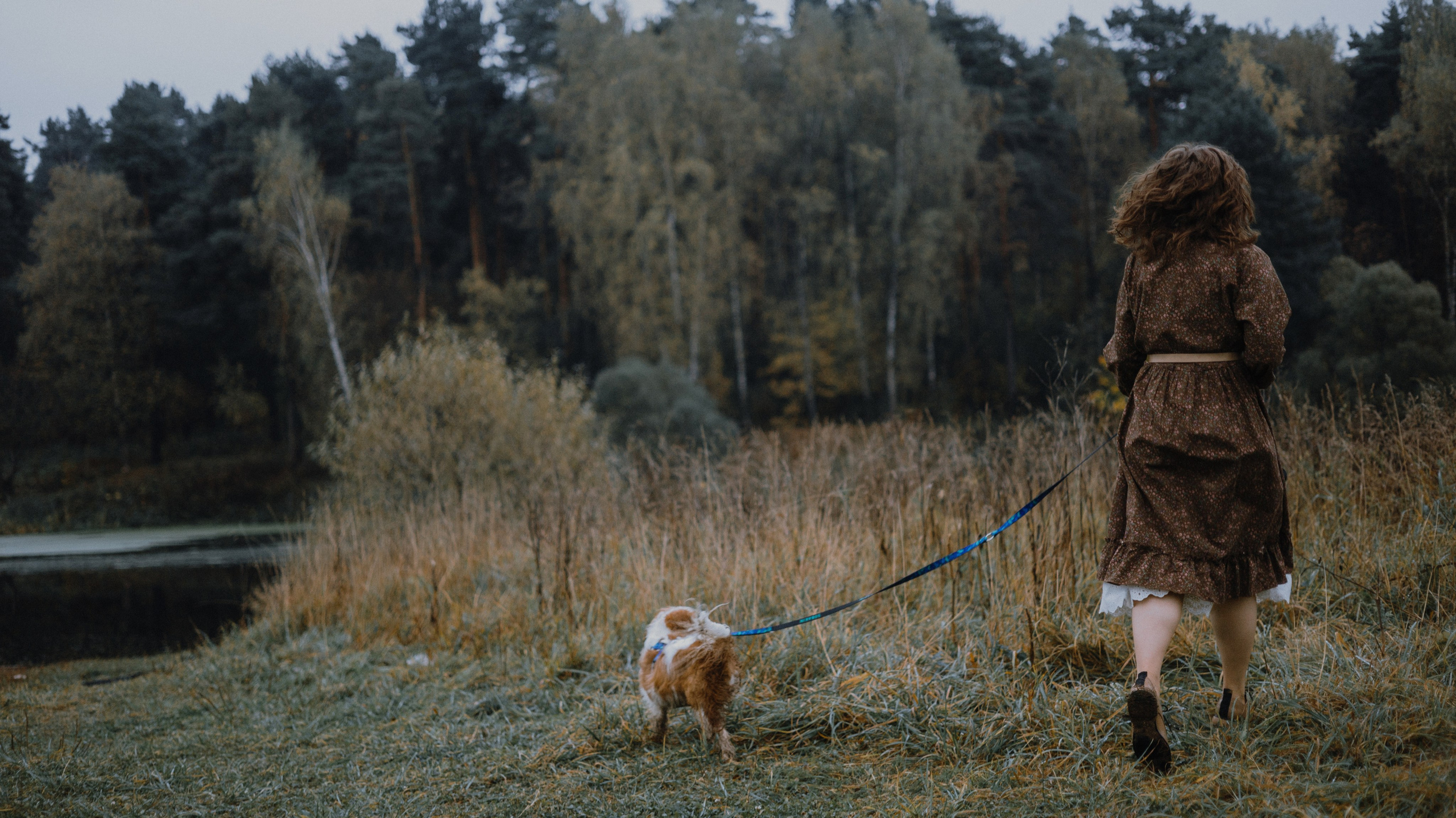 Маша и Дарси. Фотограф-анималист Богданова Полина