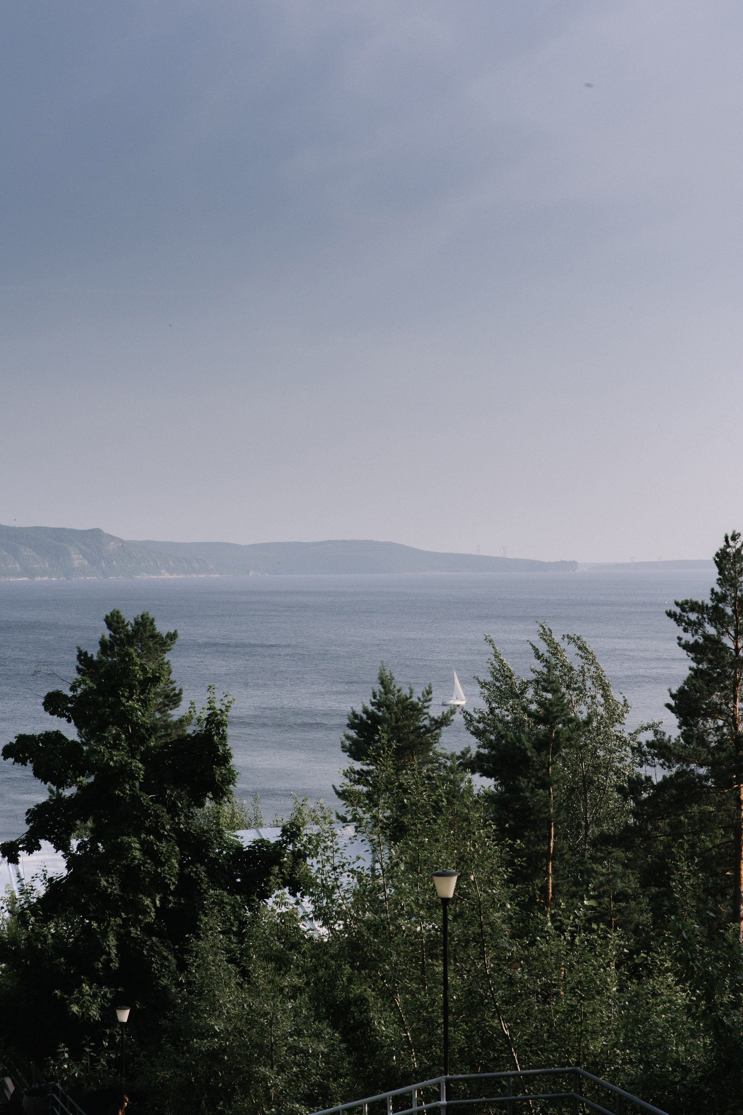 Сезон пионов. Фотограф Елена Краснопевцева