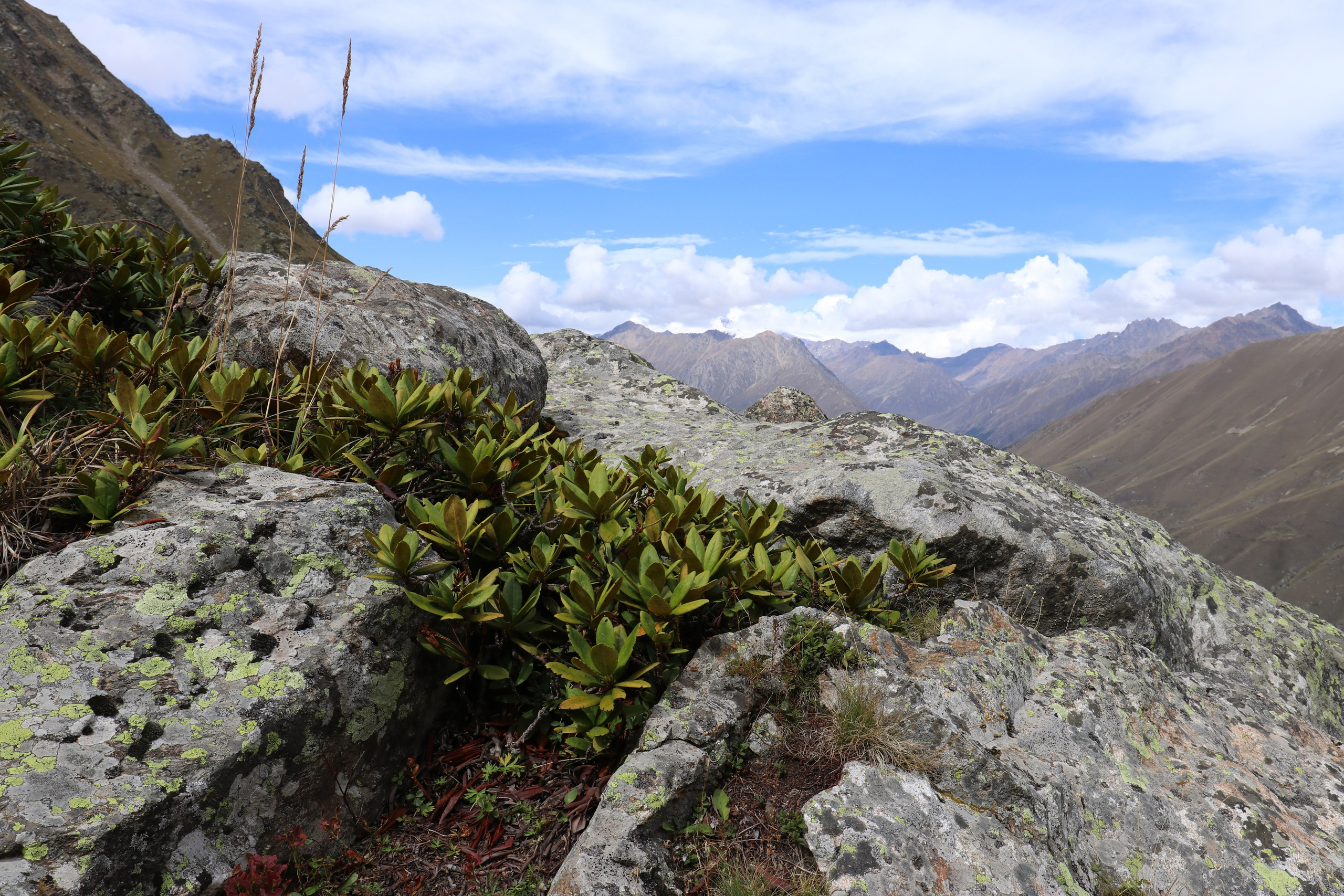 Приэльбрусье. Сентябрь 2024. Путешественник-фотограф из Санкт-Петербурга Татьяна Свистулина