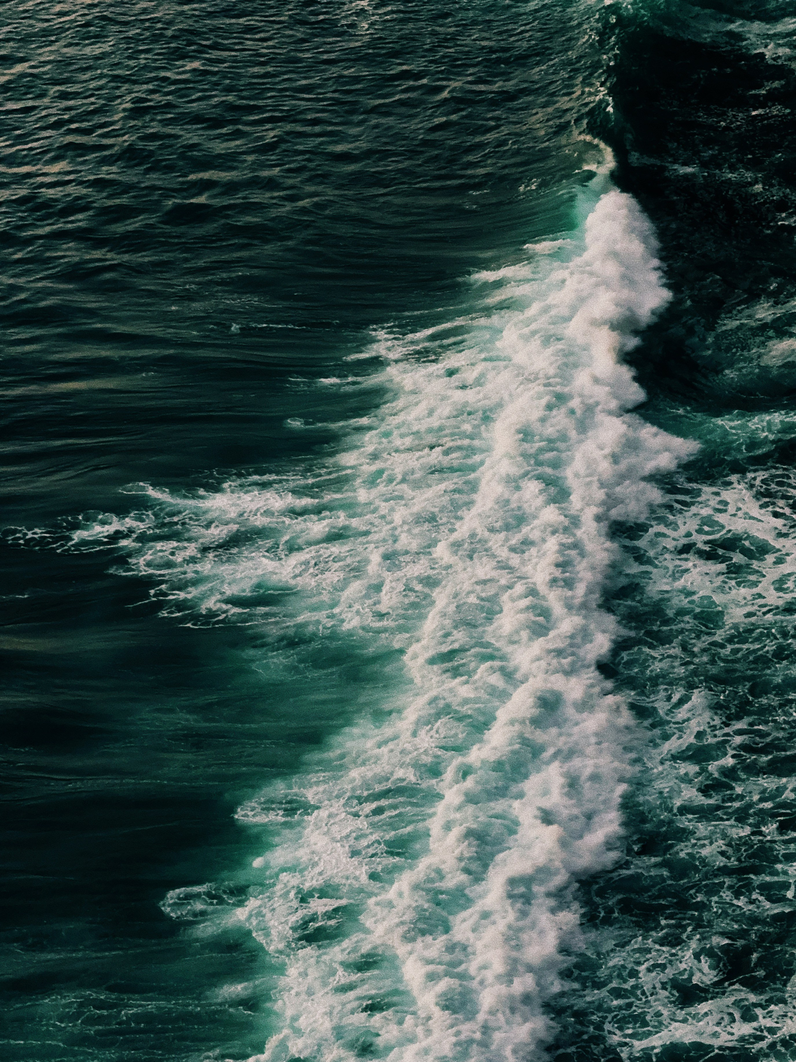 SURFING. Carolinetru