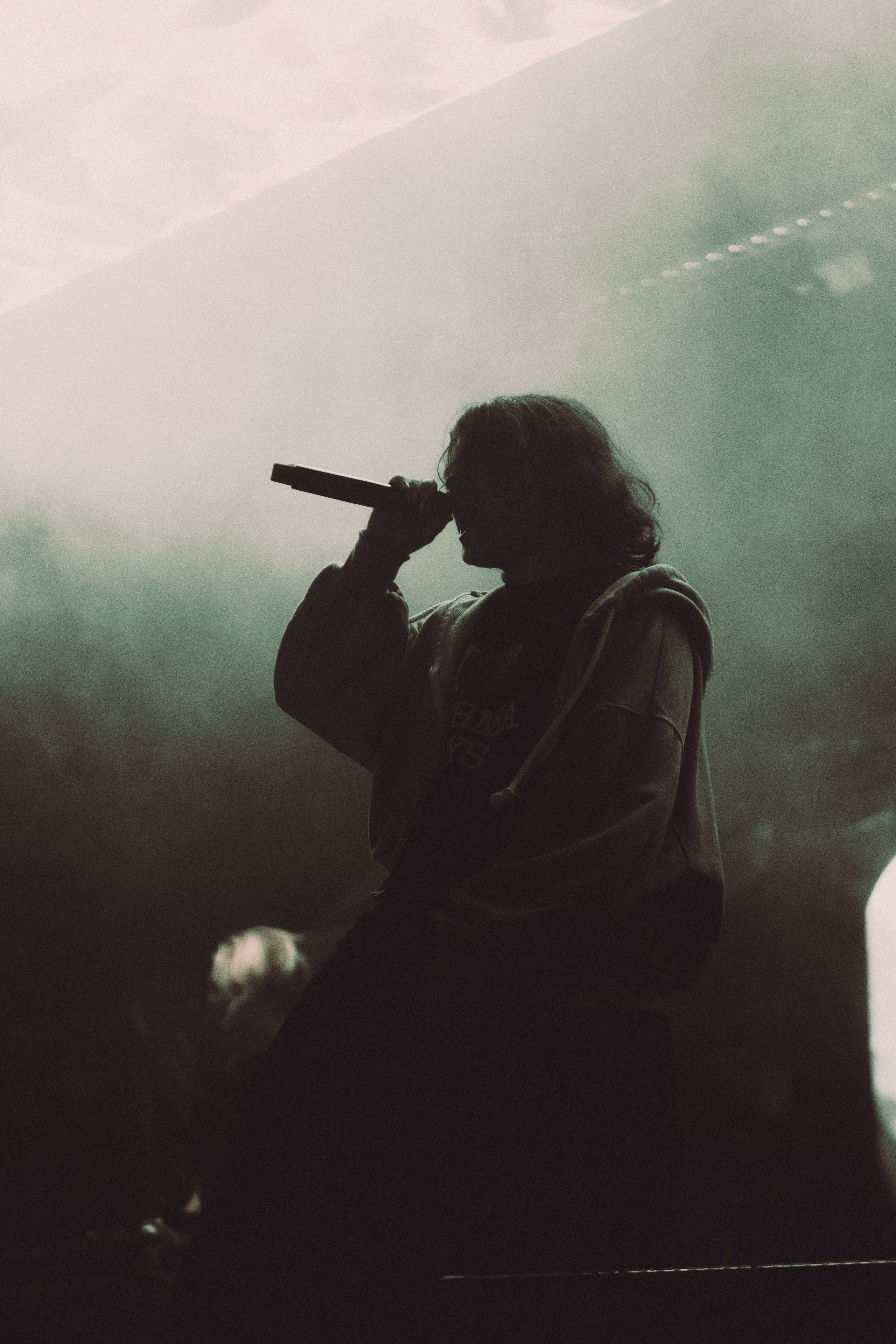 SALUKI. PASHAHARCE PHOTOGRAPHER & VIDEOGRAPHER