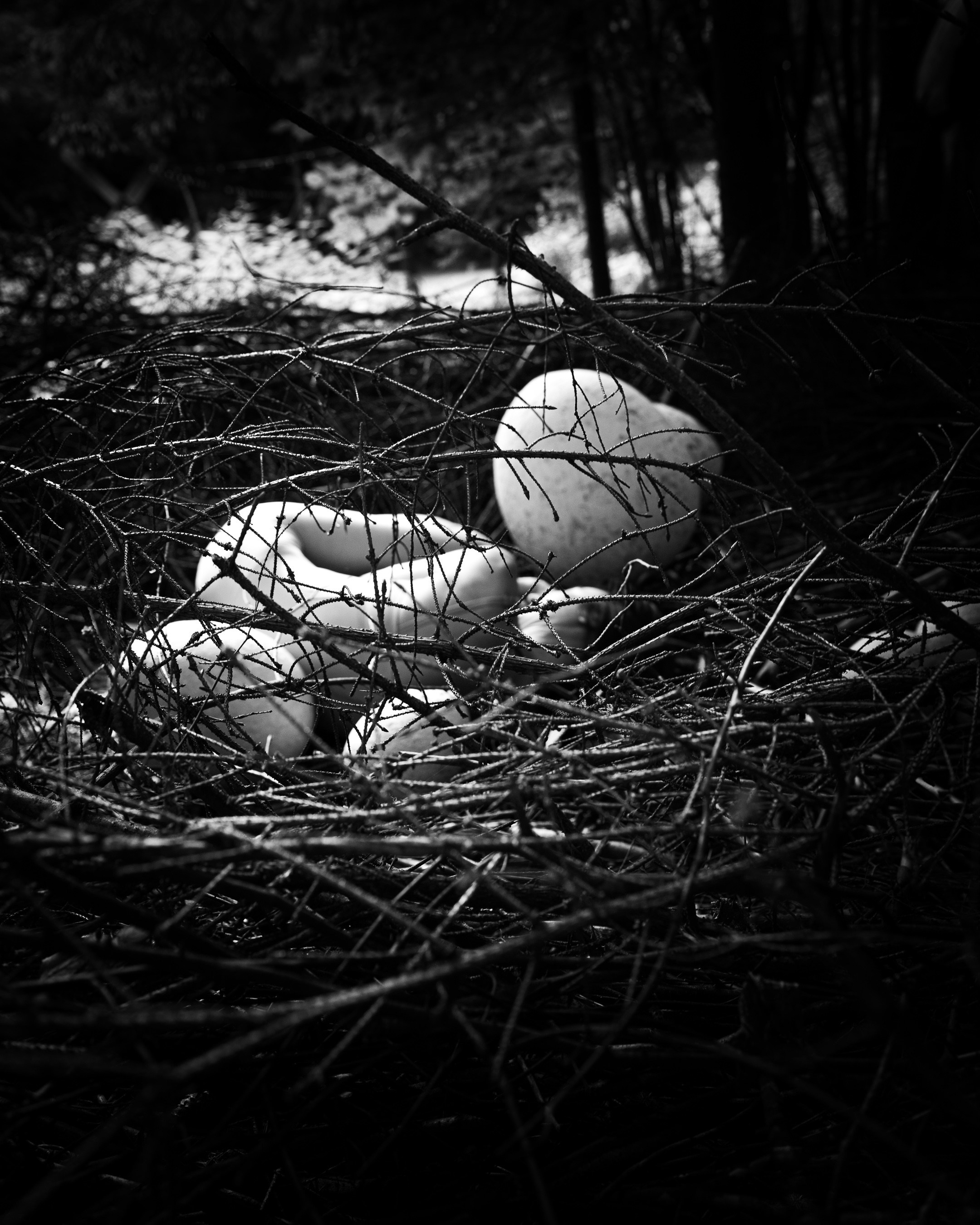 Мария. Фотограф в Москве Анна Чистякова