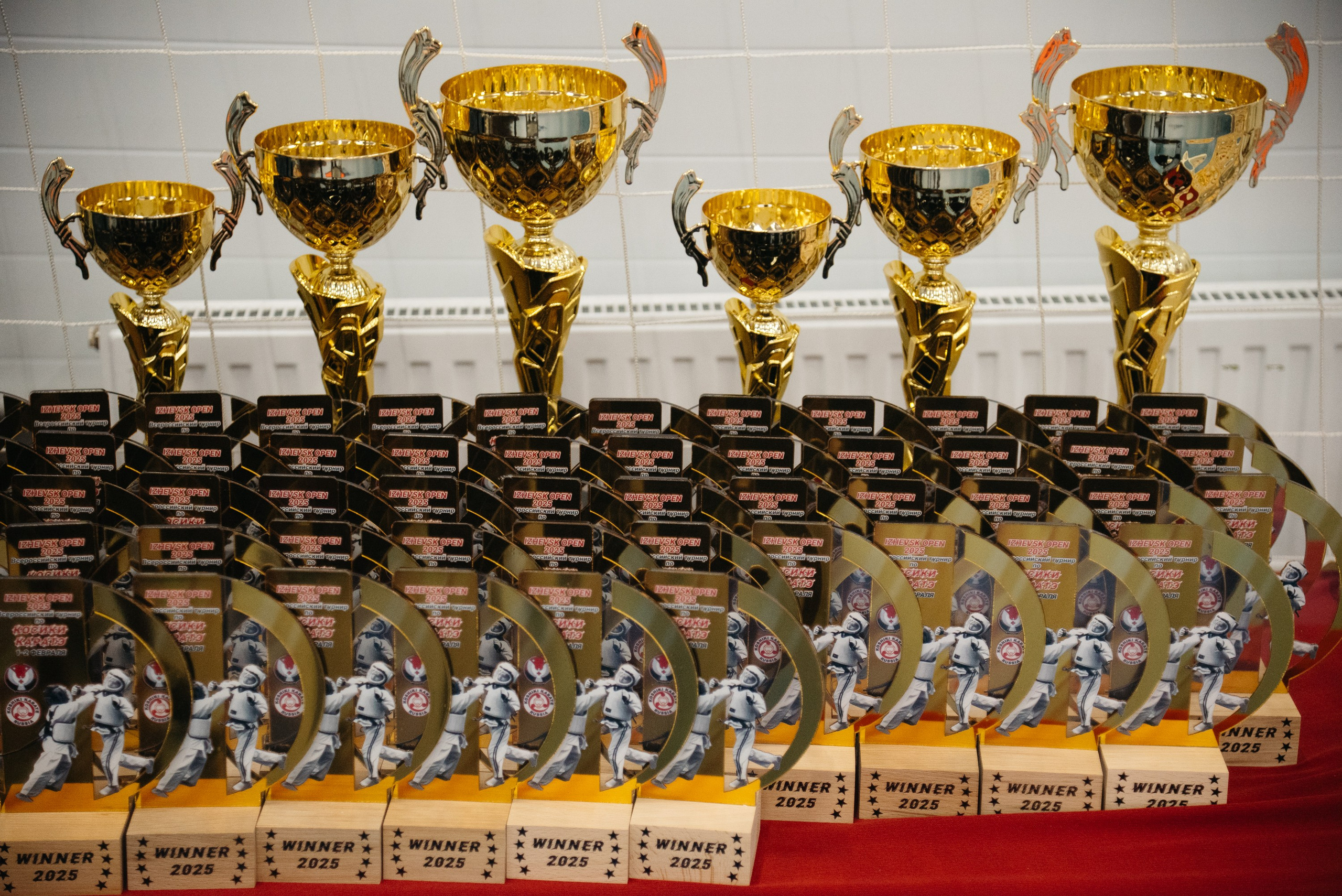 Косики каратэ. Свадебный фотограф Ижевск Петр Шишков