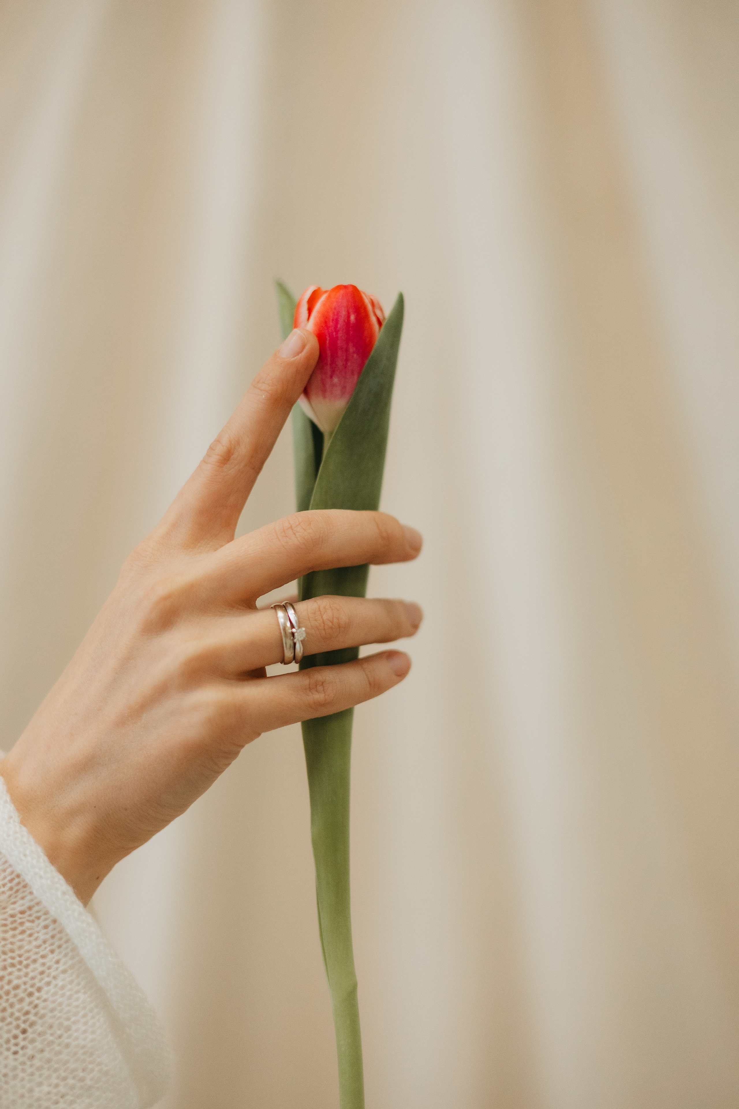 Катя и Жуль. Фотограф животных Евгения Верцинская