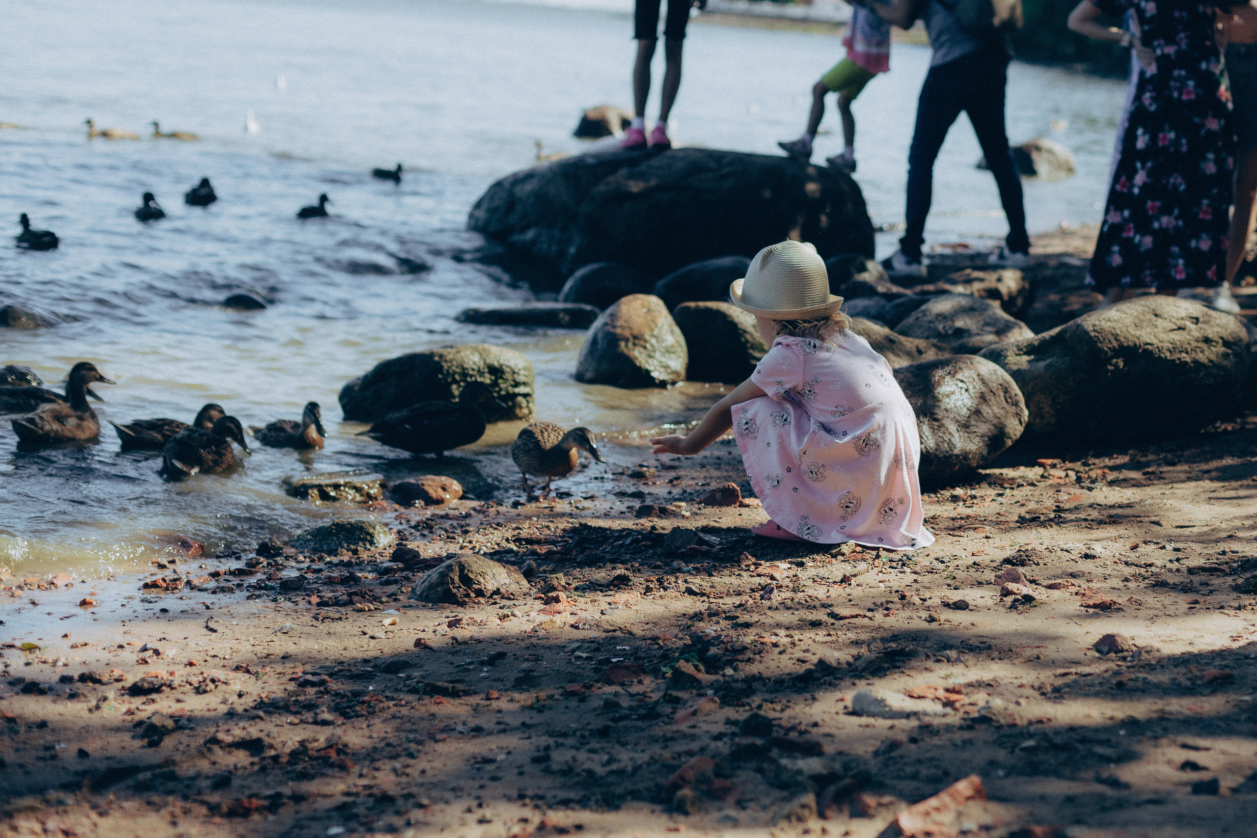 Прогулка по Петергофу. Елена Семейный фотограф Санкт-Петербург