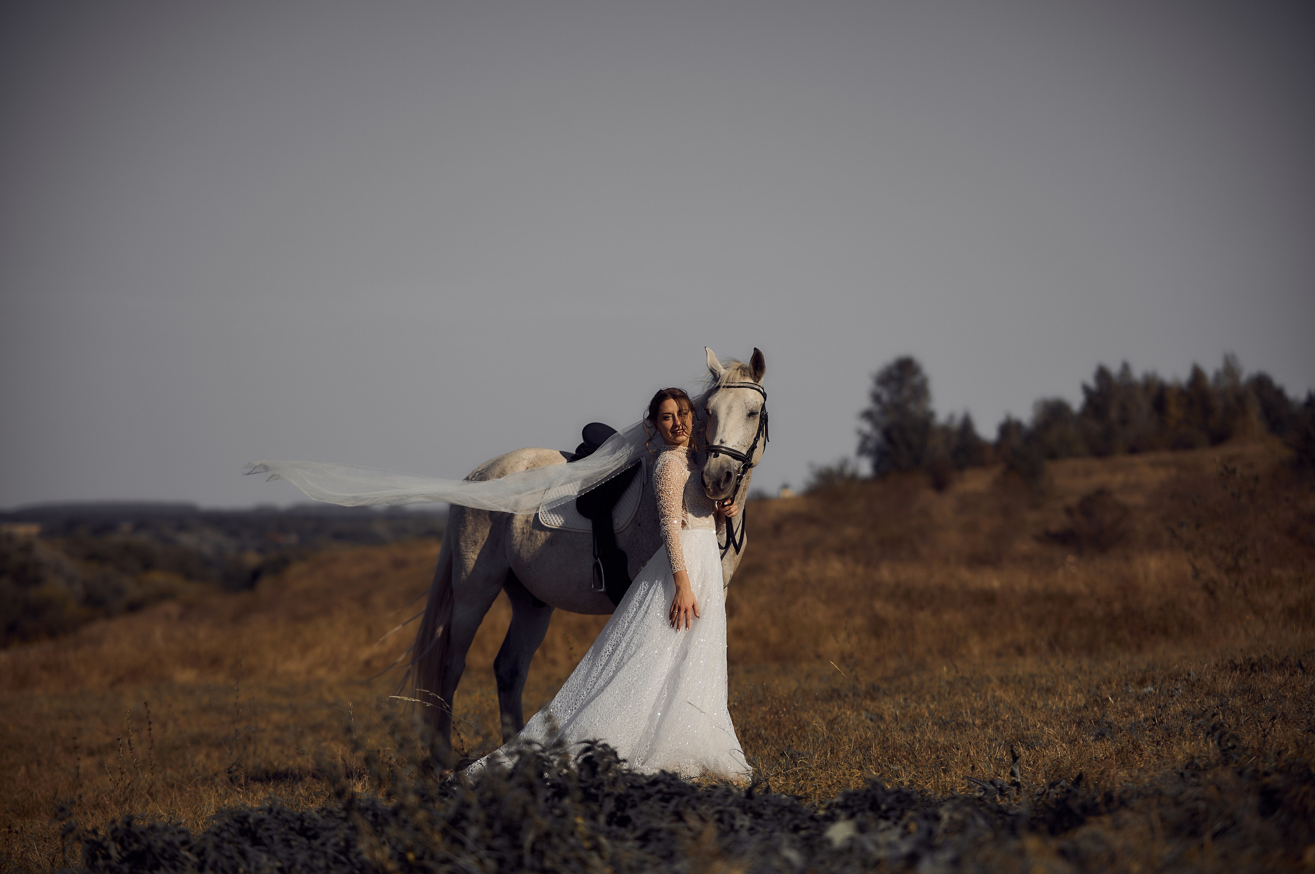 Фотосессия с конями. Свадебный фотограф в Туле Никита Беляев