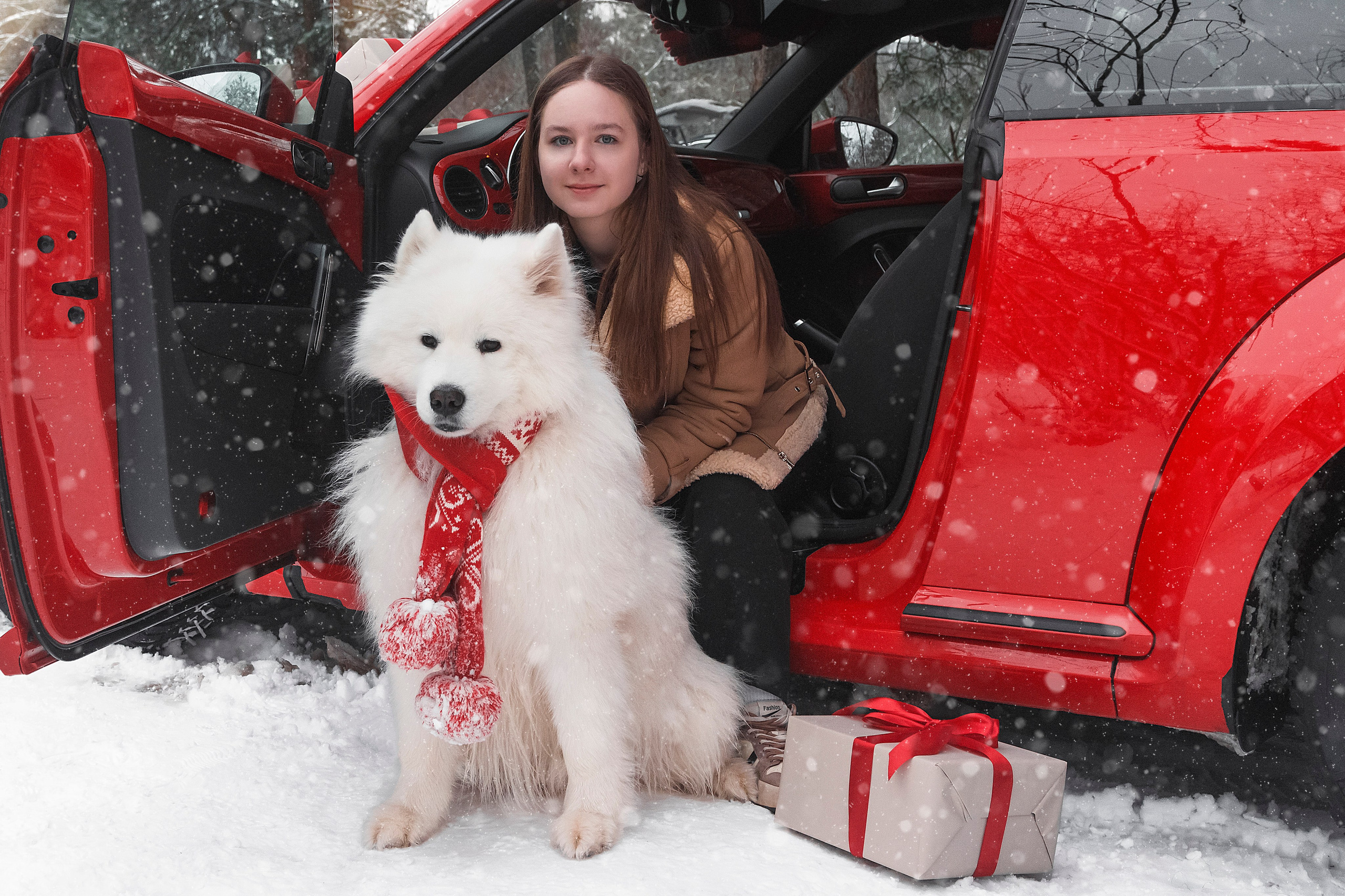 Новогодний красный жук. Фотограф Ольга Бобб Нижний Новгород