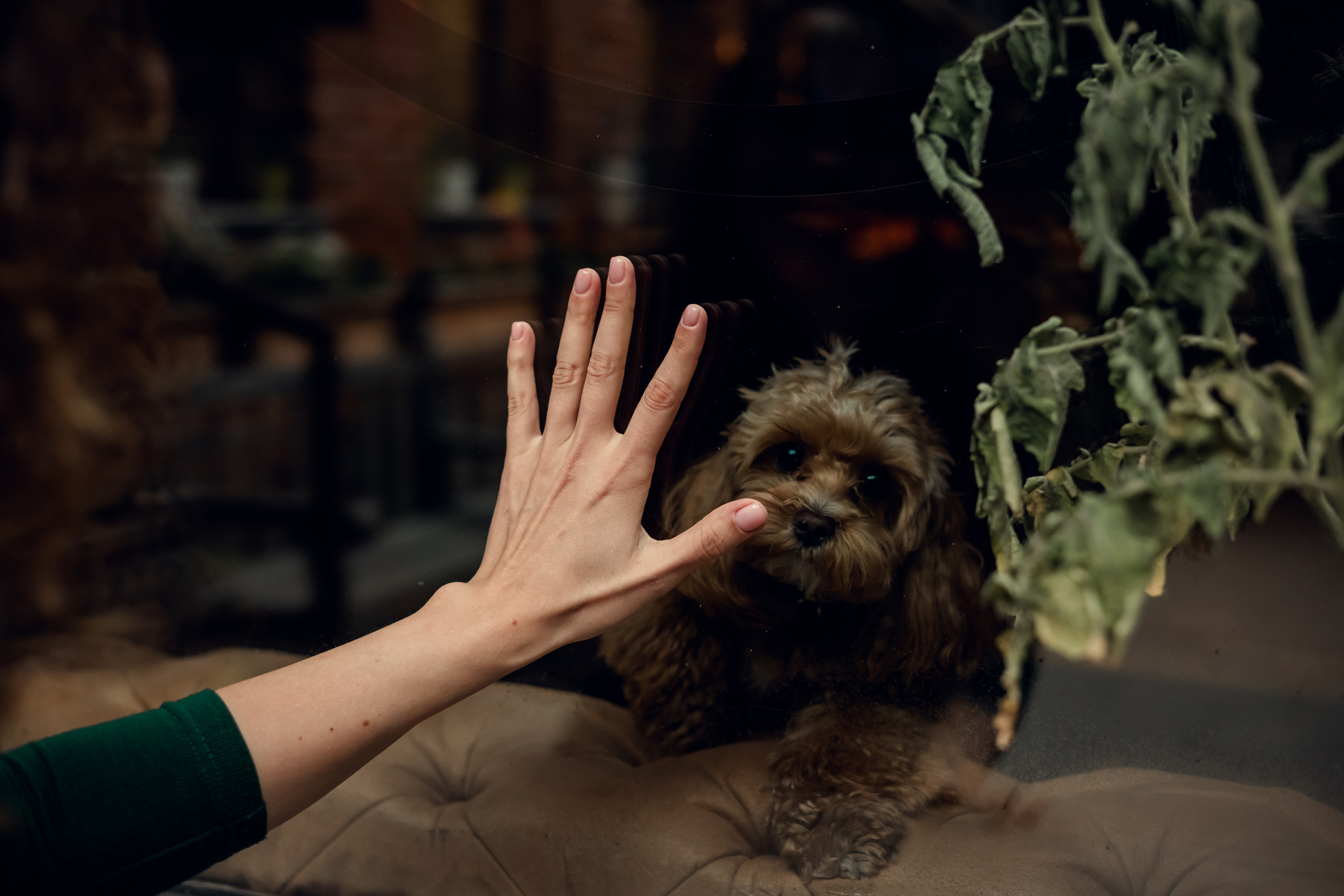 Анастасия. Семейный фотограф в Перми Ольга Гилева. Выпускные альбомы