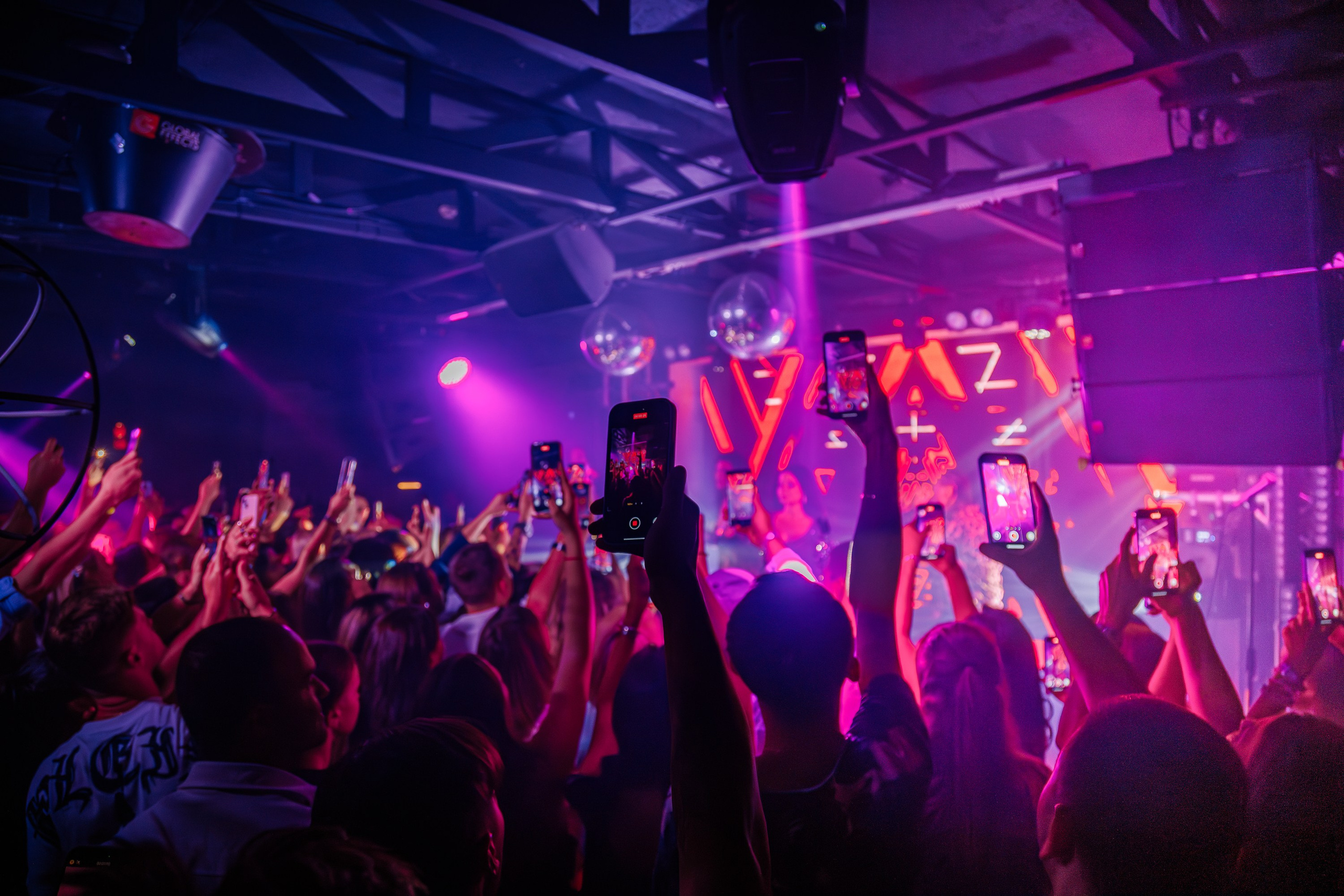 «Бьянка"_Чайка на пляже_Ялта_25.07.2025 г. Аминов Руслан | Фотограф