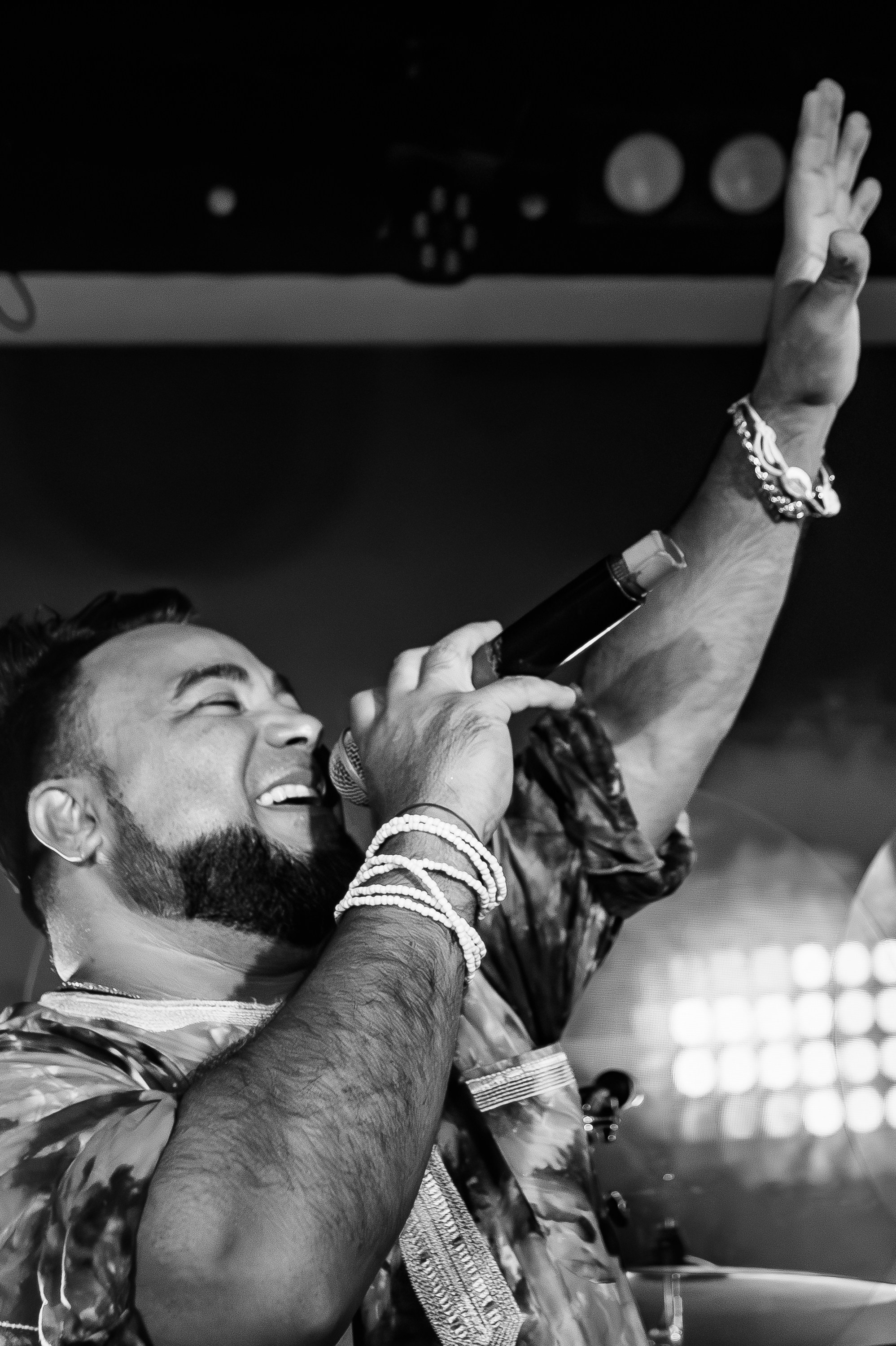 «Митя Фомин"_Чайка на пляже_Ялта_28.06.2025 г. Аминов Руслан | Фотограф