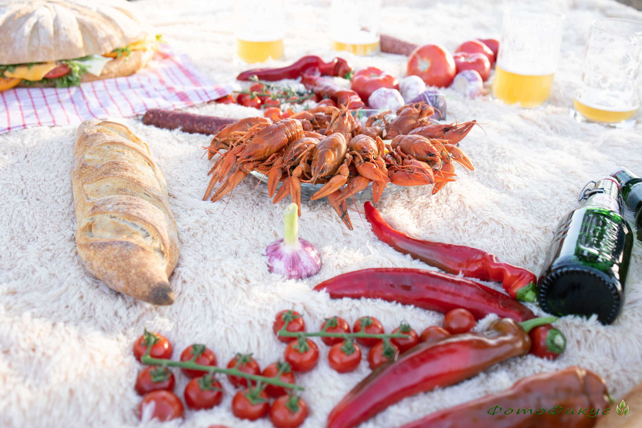 Прогулки и пикники. Фотографы Евгений и Екатерина. Фотофикус. Тюмень