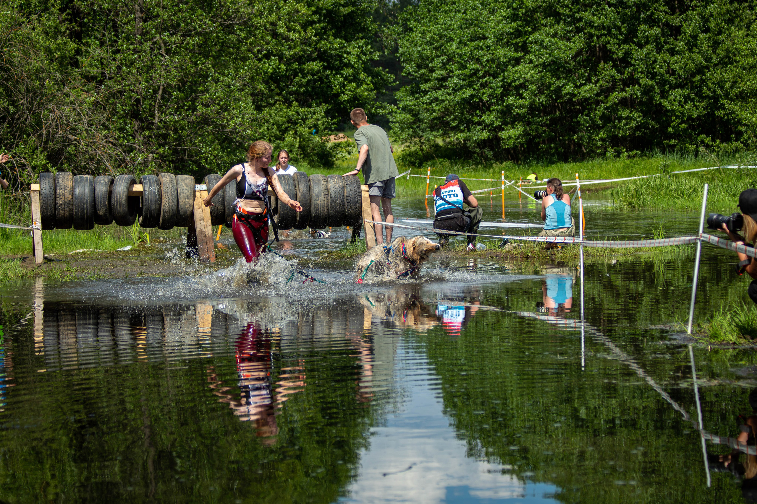 Хвостатый Драйв 2024. Фотограф анималист — Тула, Москва