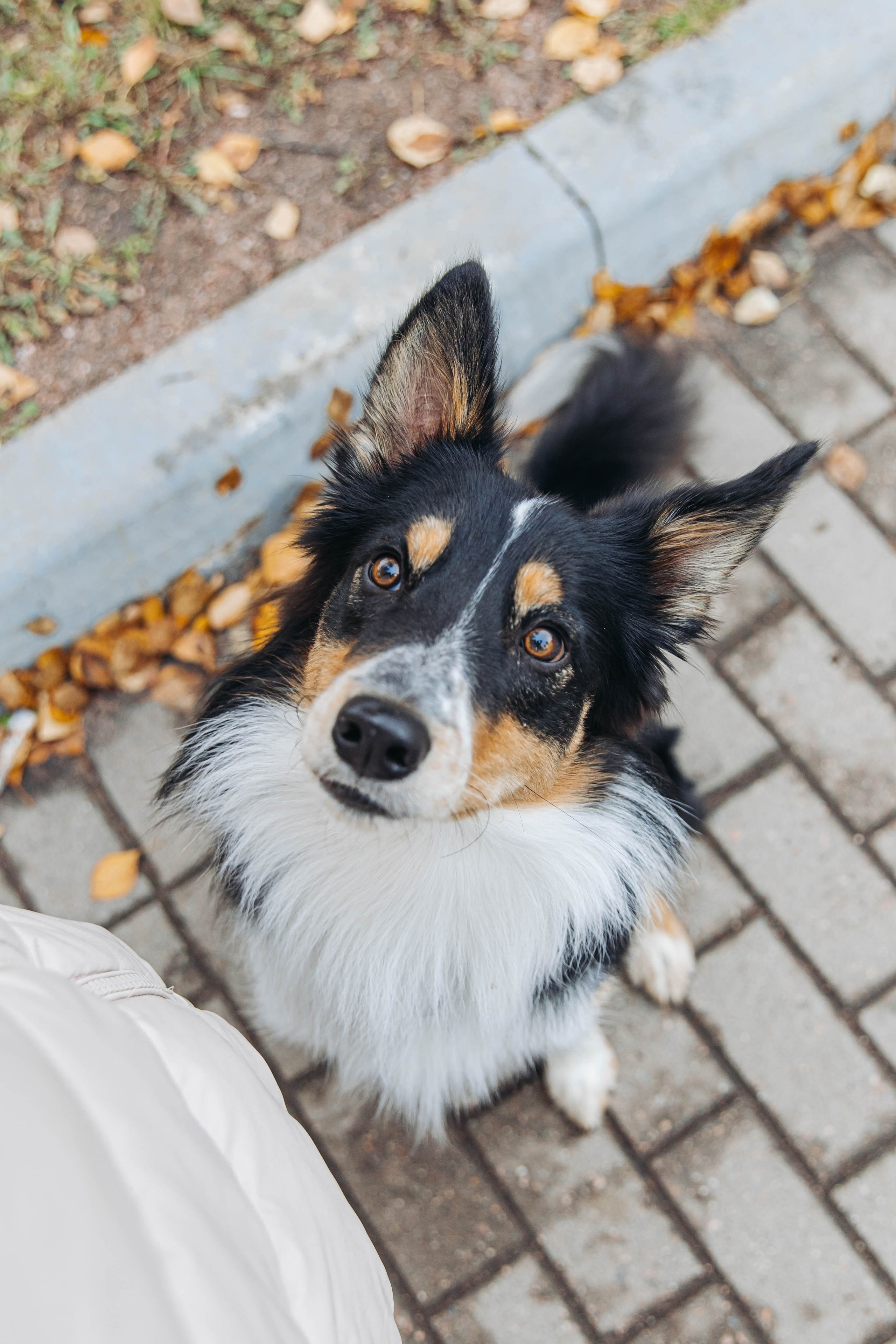 Вольт. Свадебный и семейный фотограф в Санкт-Петербурге Лолита Евстифеева