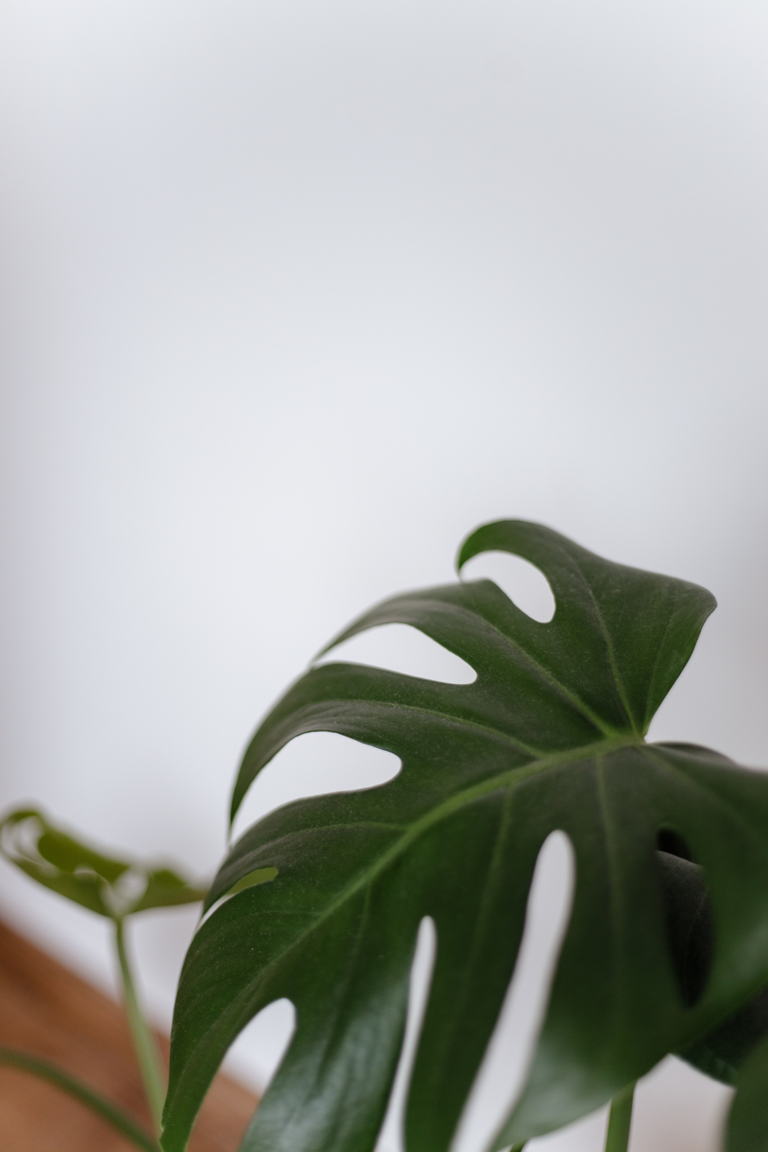 Юлия — скоро весна. Семейный фотограф Новороссийск, Анапа, Геленджик — Юлия Давыдова