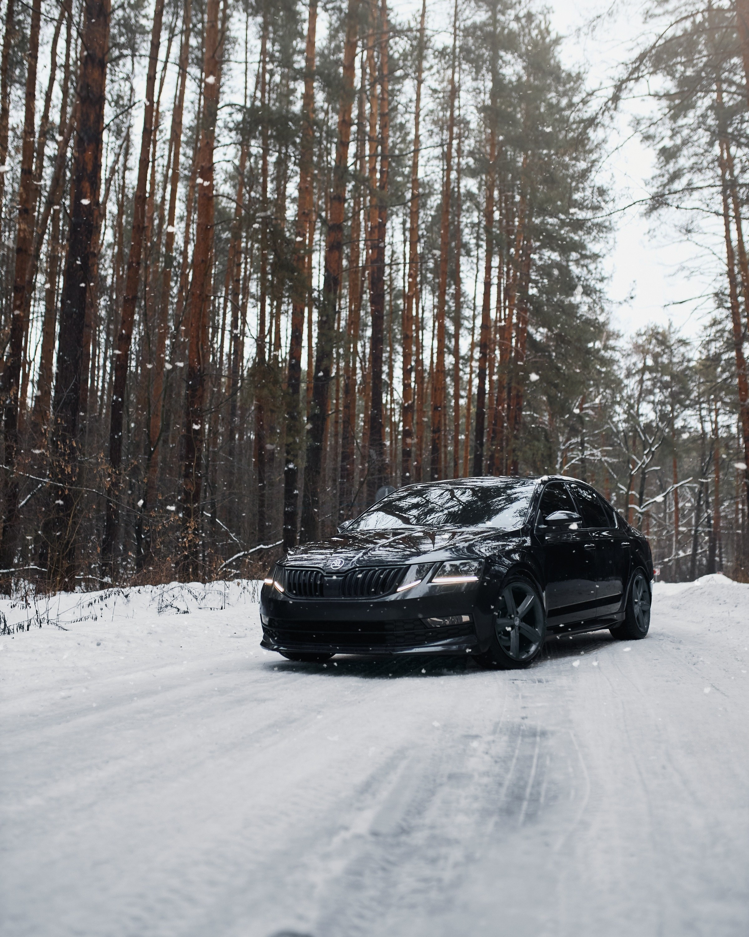 Skoda Octavia | @fuck_credit. DKARPOCHEVA PHOTOGRAPHY