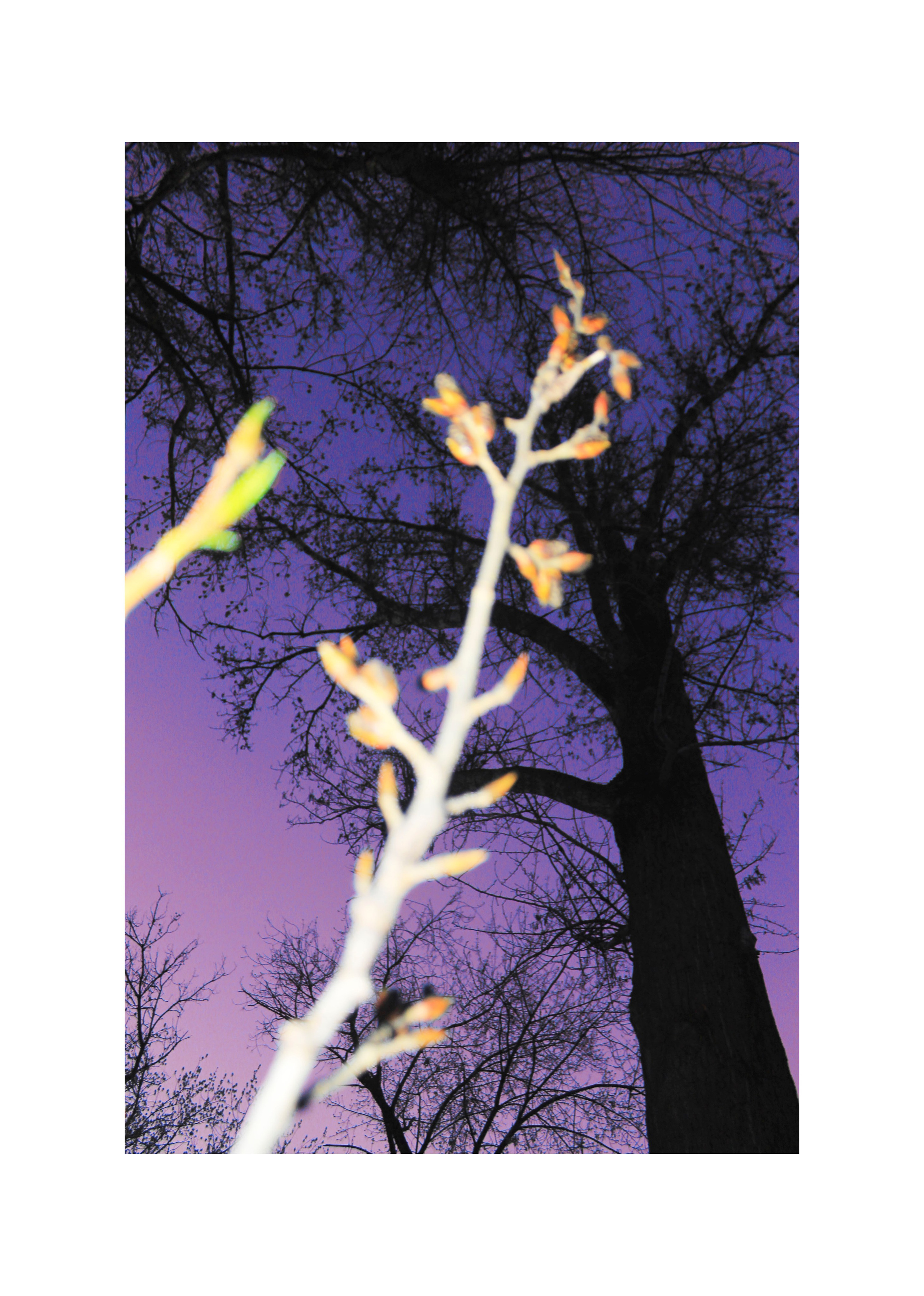 Мои первые работы. Фотограф из Москвы — DASHA NOVA | Авторская фотография в разных жанрах