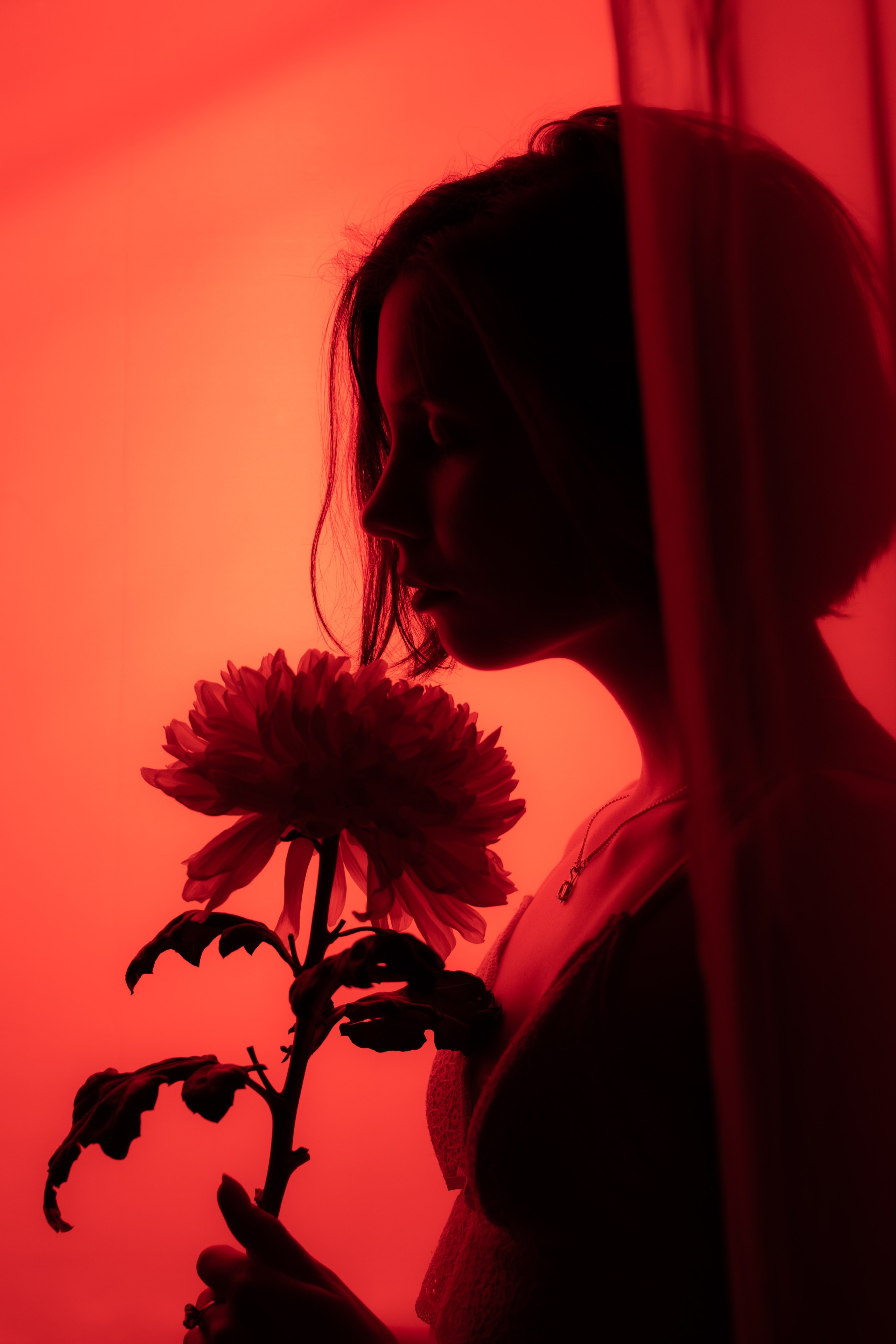 Anastasia. Janie valde |photographer & visual artist