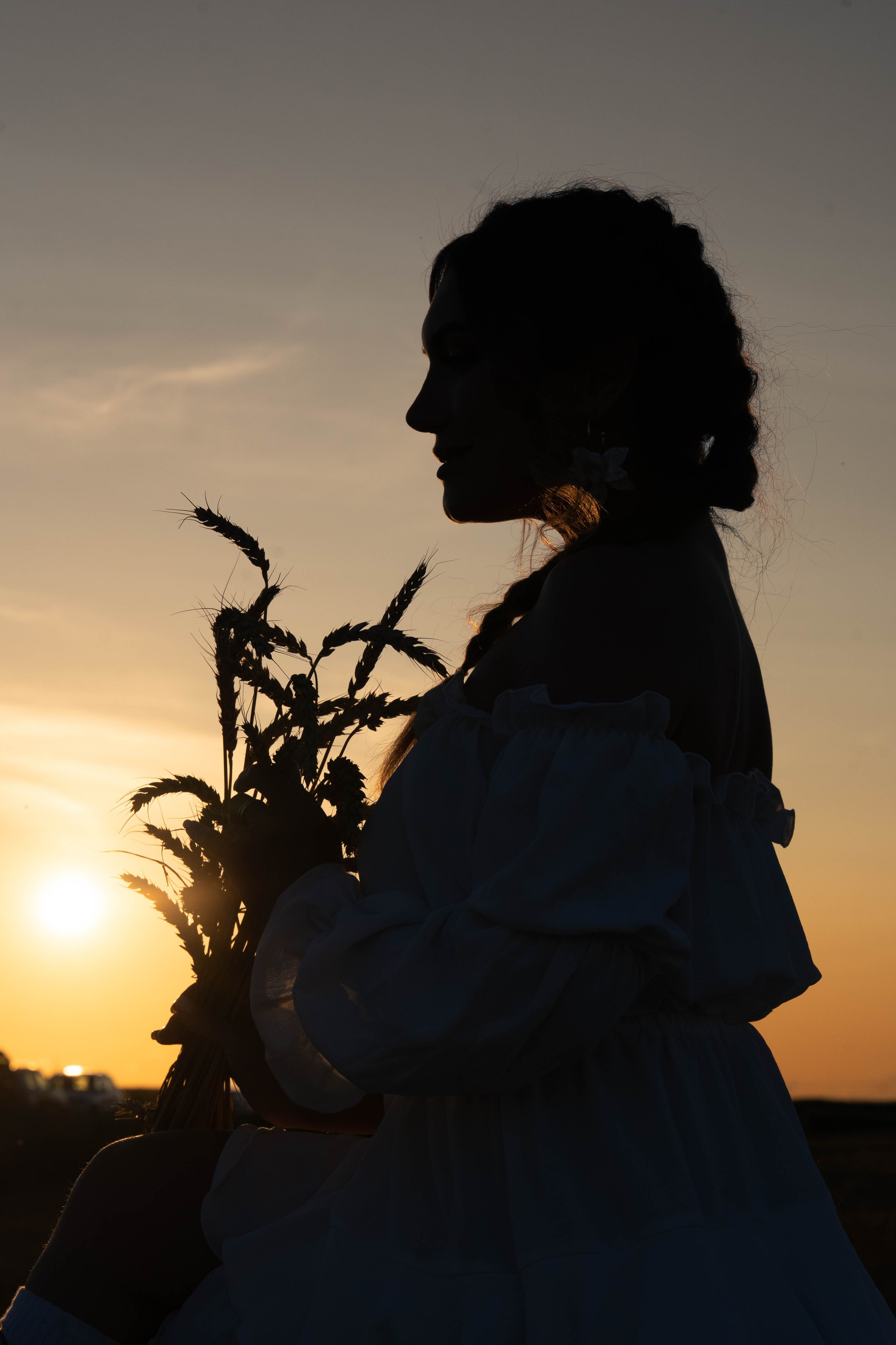 Пшеничные поля. Главная