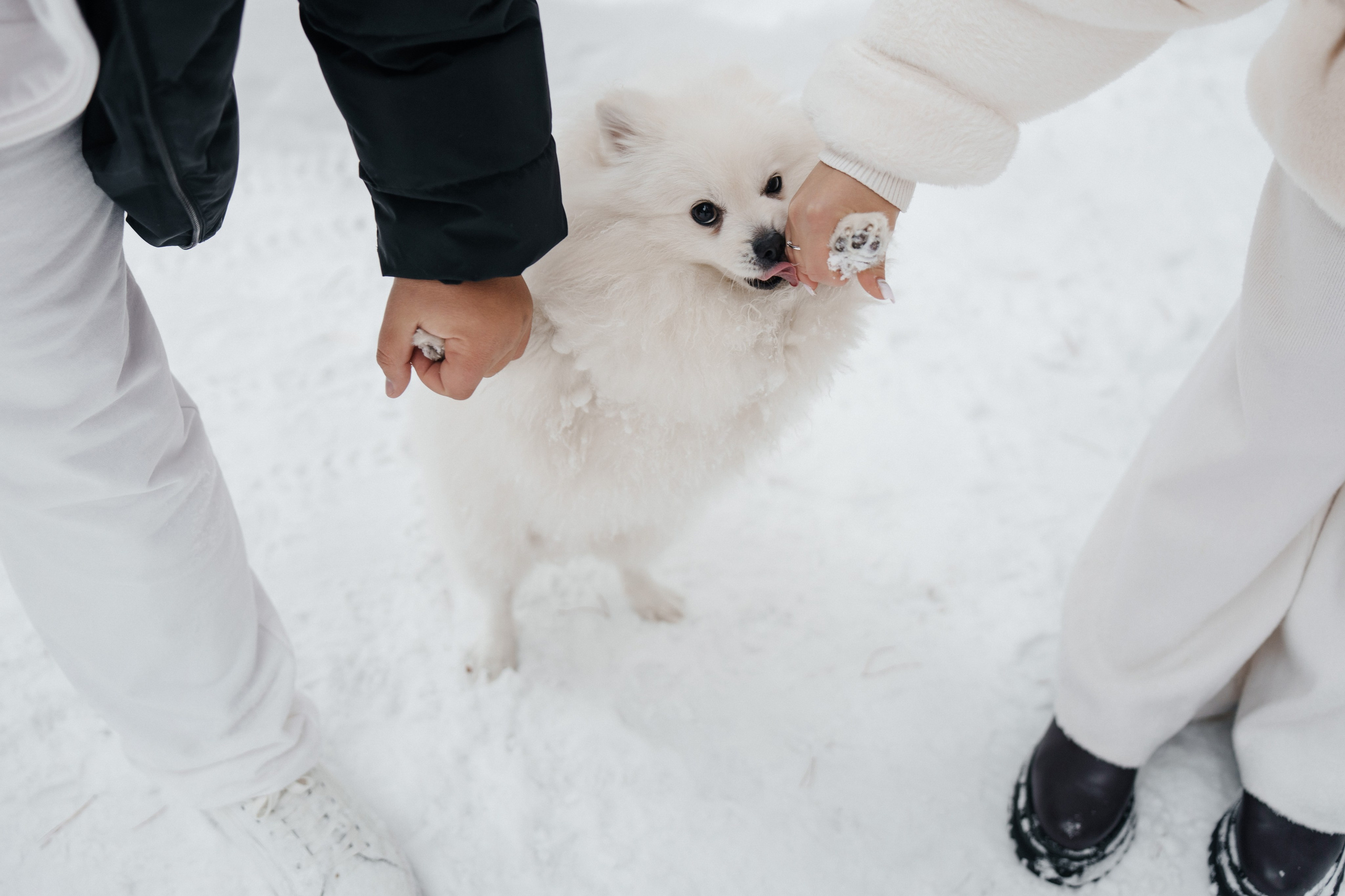 Зима. Фотограф Кирилл Бабий
