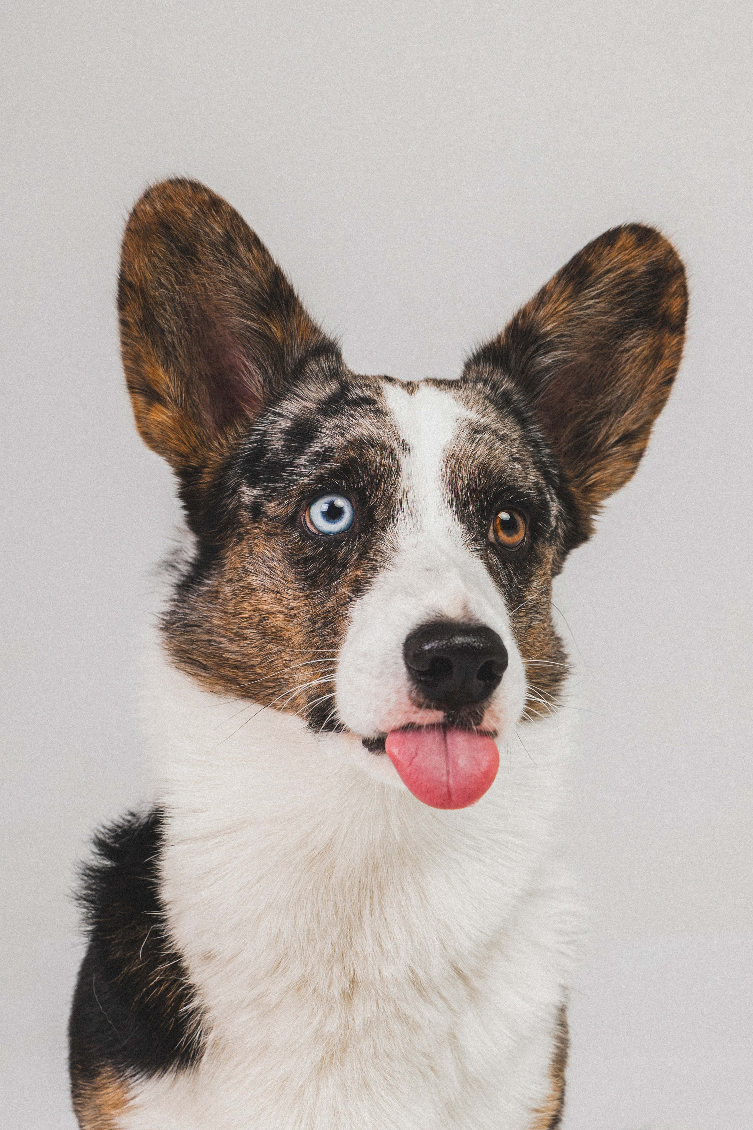 Анатолий и Рагнар