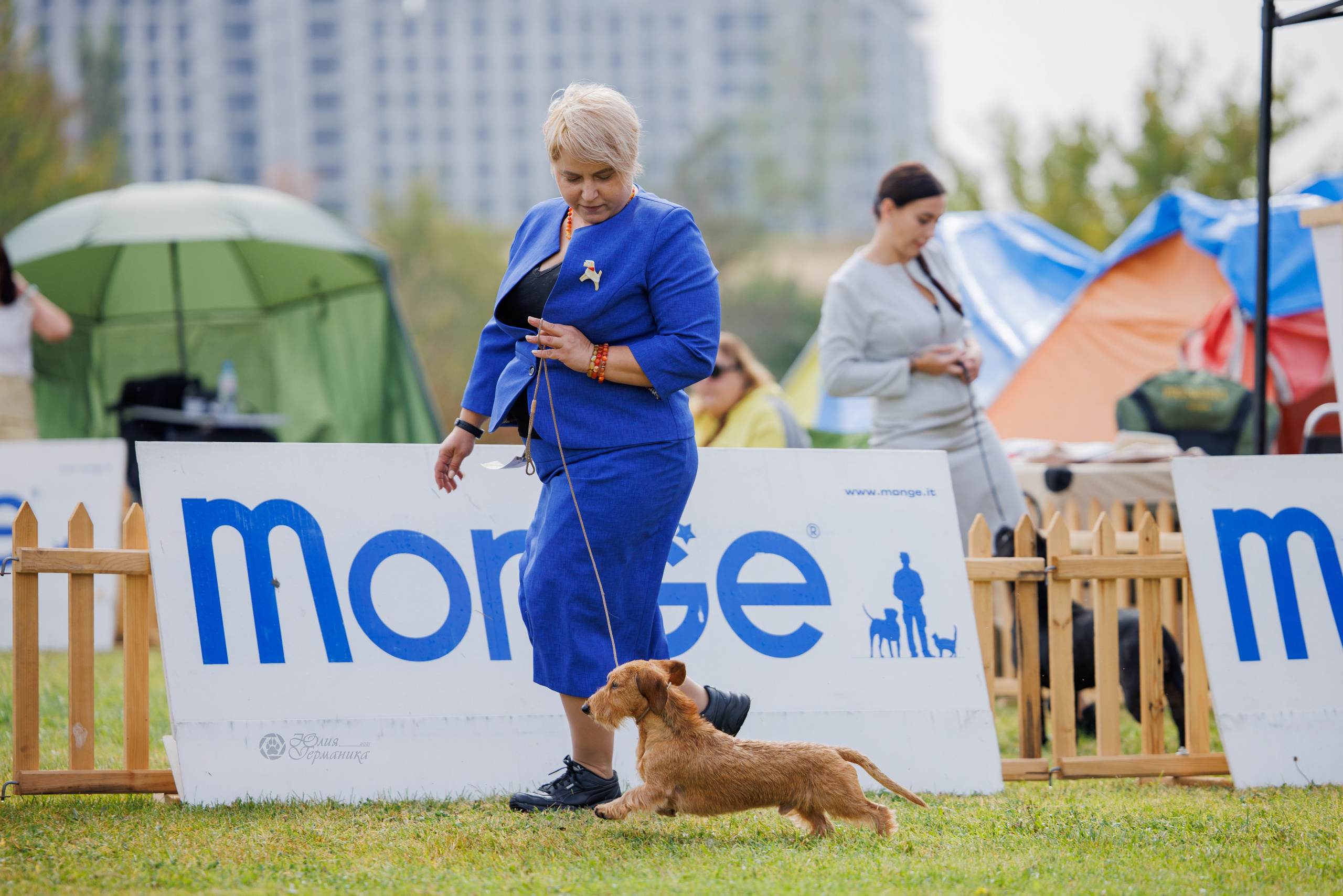 Армения,Ереван 3хCACIB 15-17.10.2024. Фотограф-анималист Юлия Германика