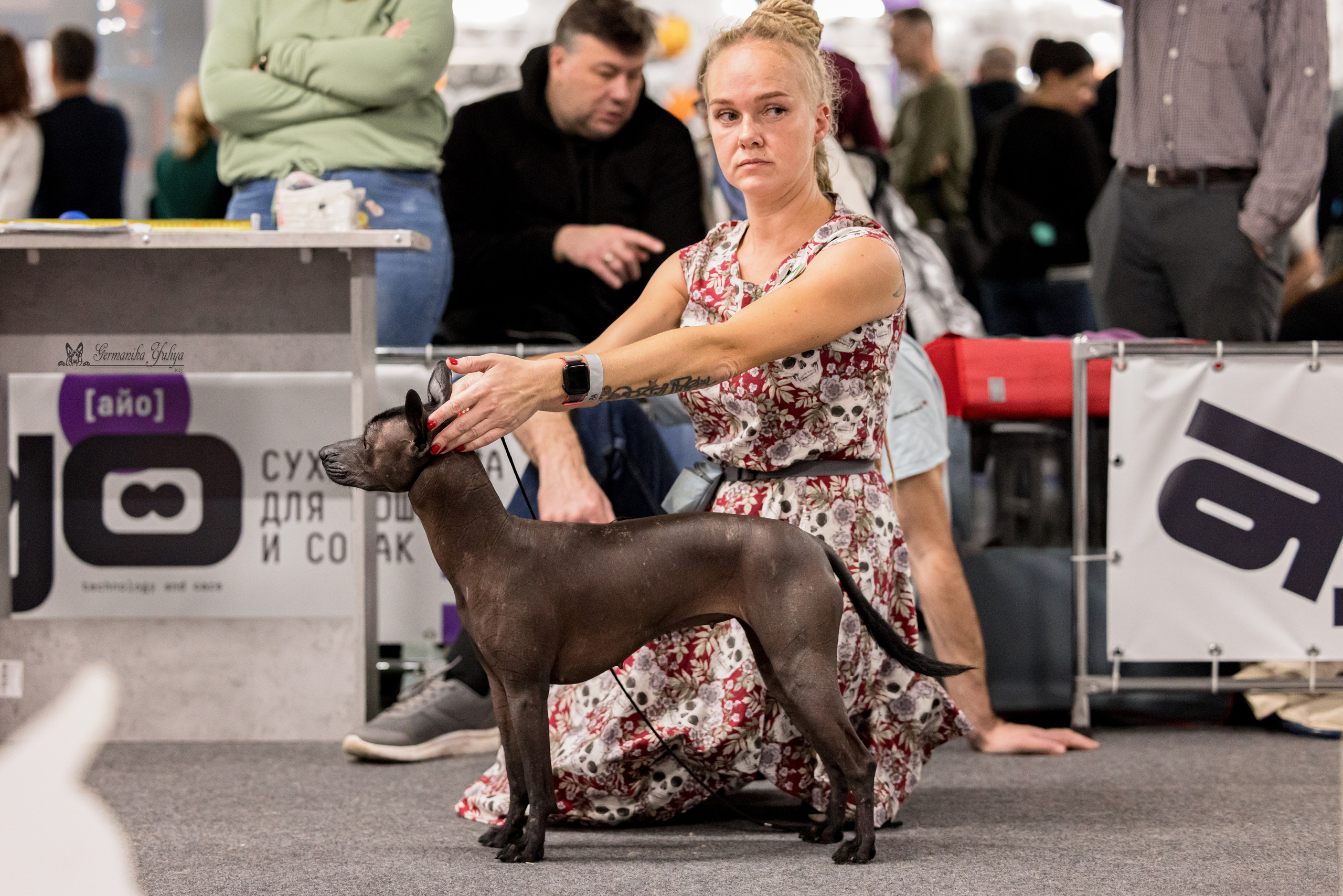 Сфера 29.10,Крокус 4.11,Сфера 12.11.2023. Фотограф-анималист Юлия Германика