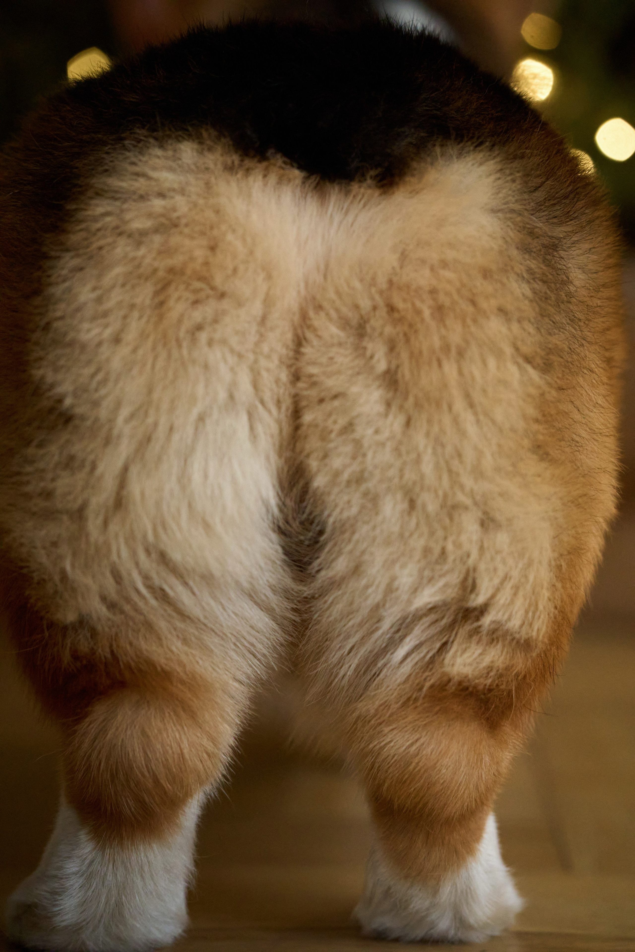 Максим, Кристина и Кофри. Фотограф из Владивостока Юлия Черепова