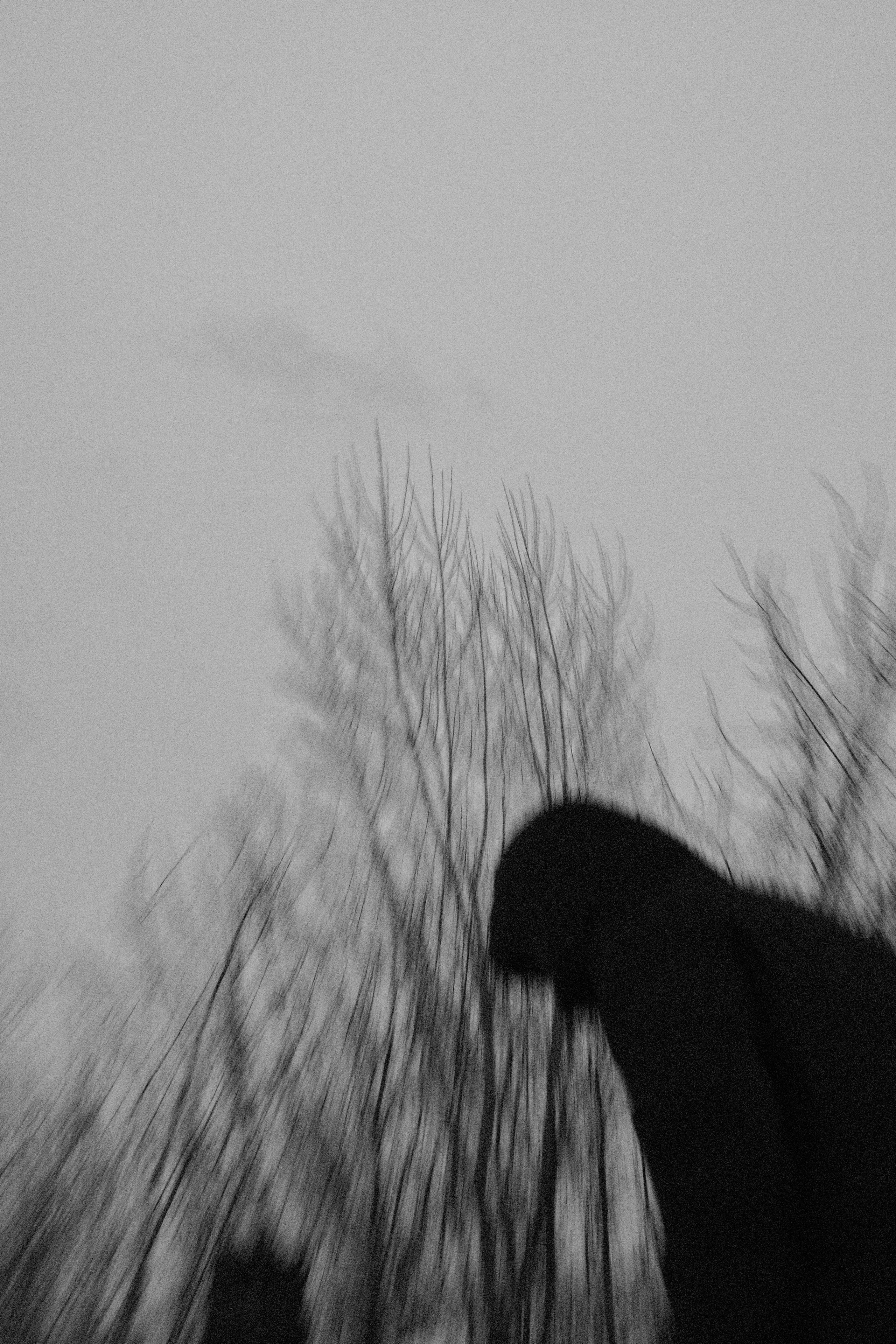 The dream of the dark world. Арт — фотограф Евгений Наймушин Новокузнецк