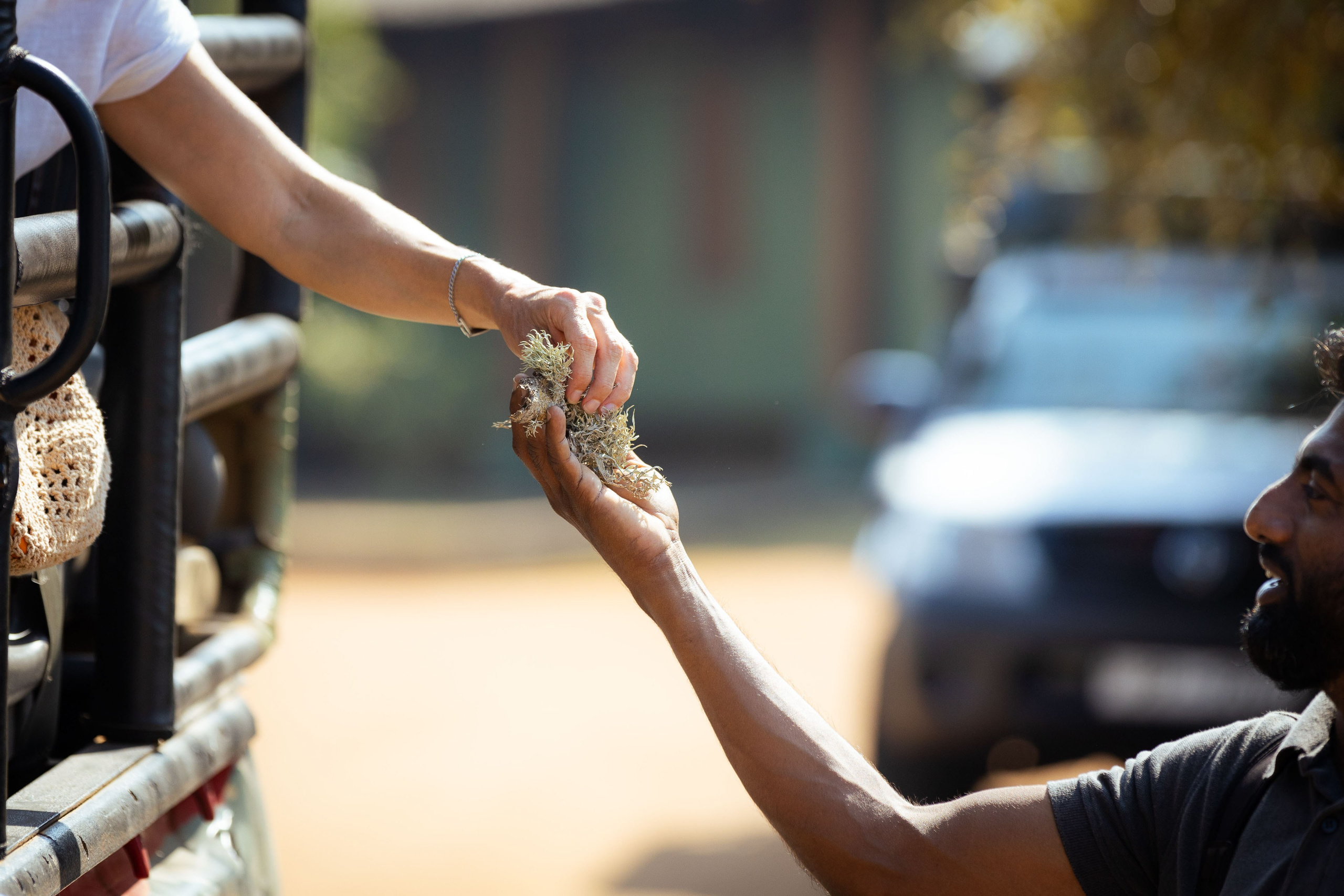Шри-Ланка (весна 2024). Фотограф Виноградов Константин