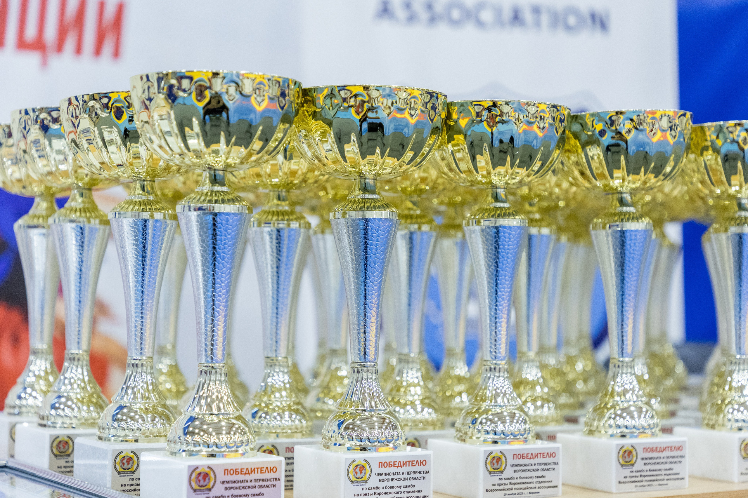 Чемпионат и Первенство по Самбо. Владислав Волков | Фотография и видеосъемка в Воронеже