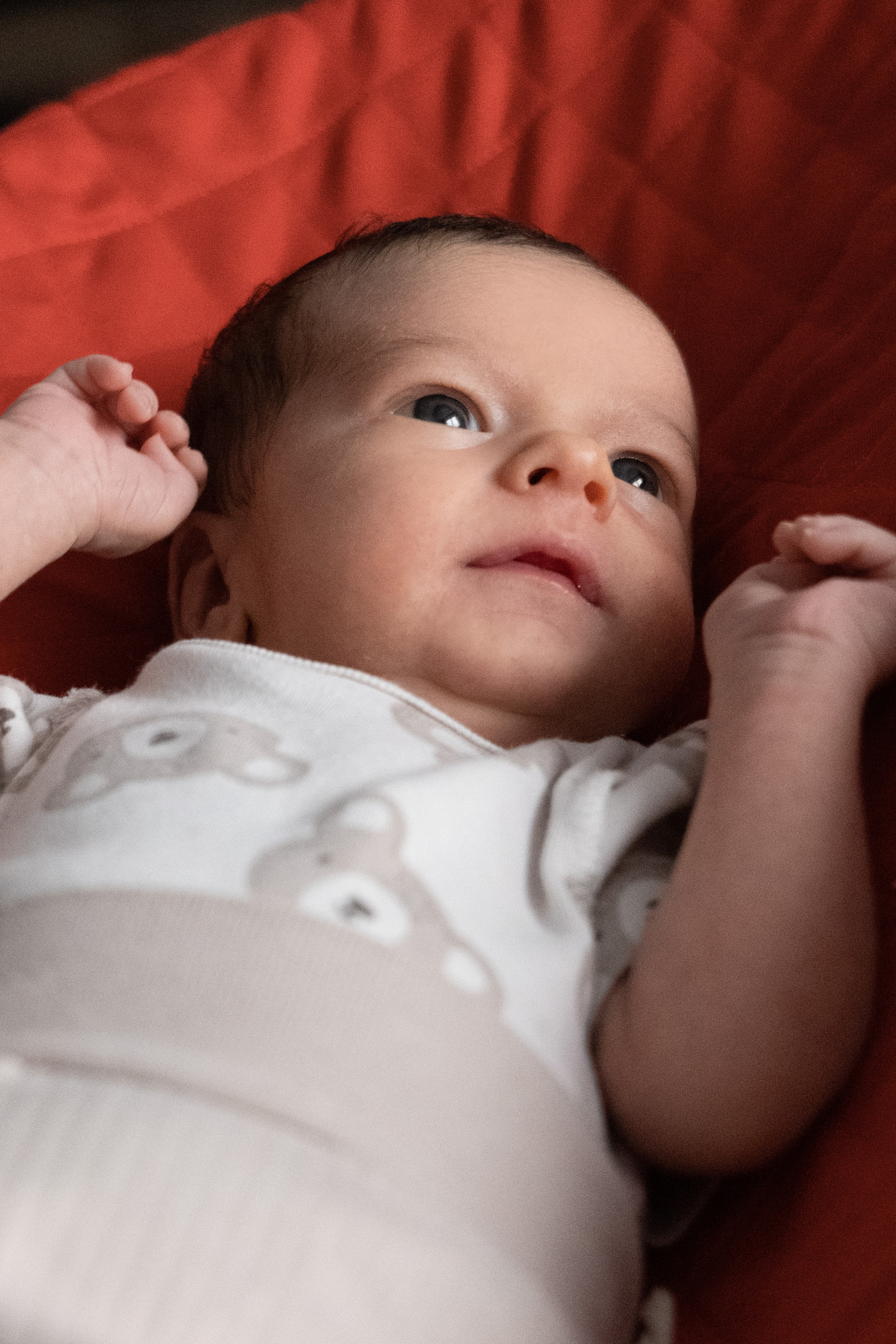 Первые дни жизни Рената. Фотограф видеограф Ольга Василевская