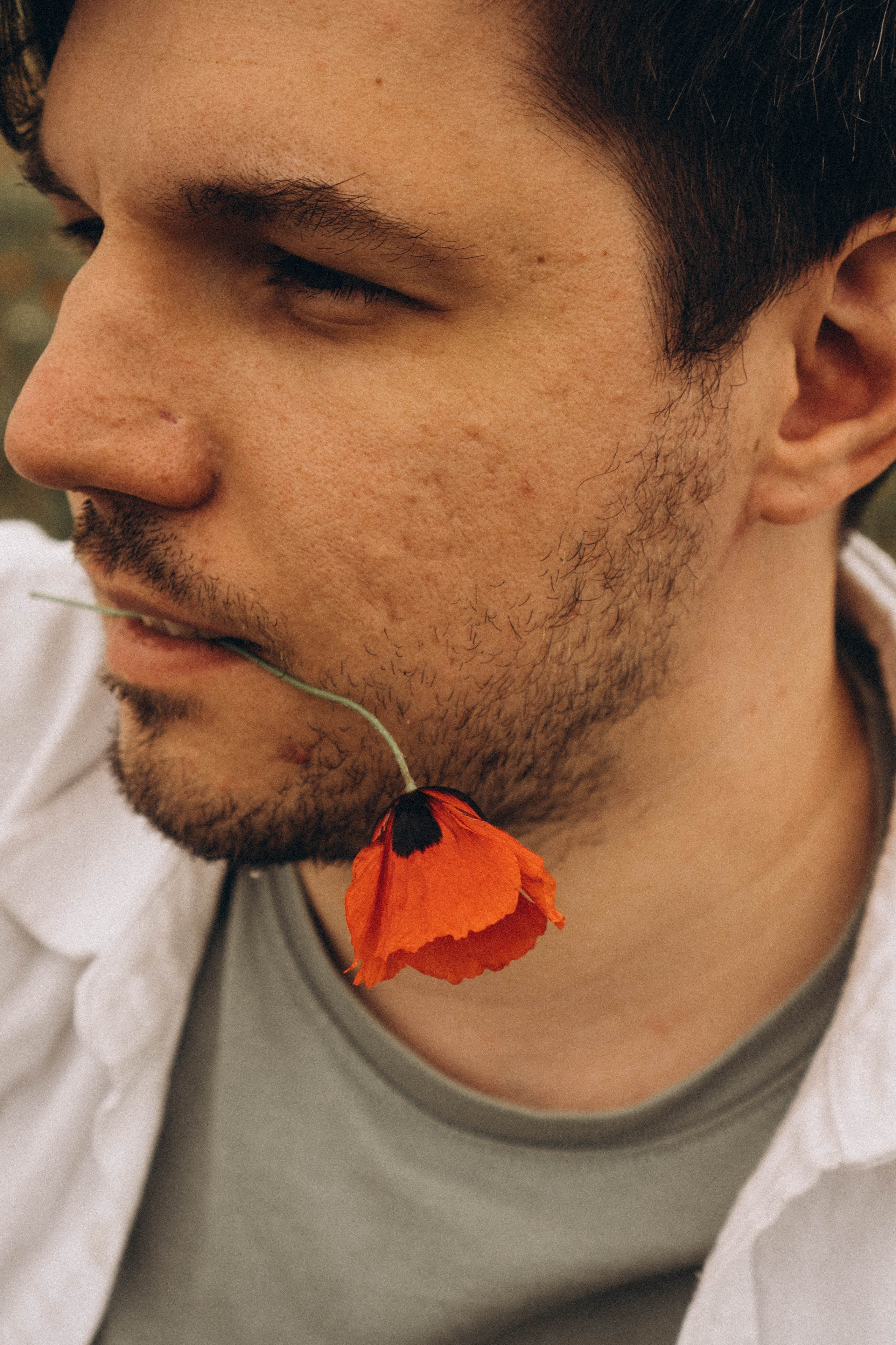 Маки. Профессиональный фотограф, Санкт-Петербург — Виктория Богомолова