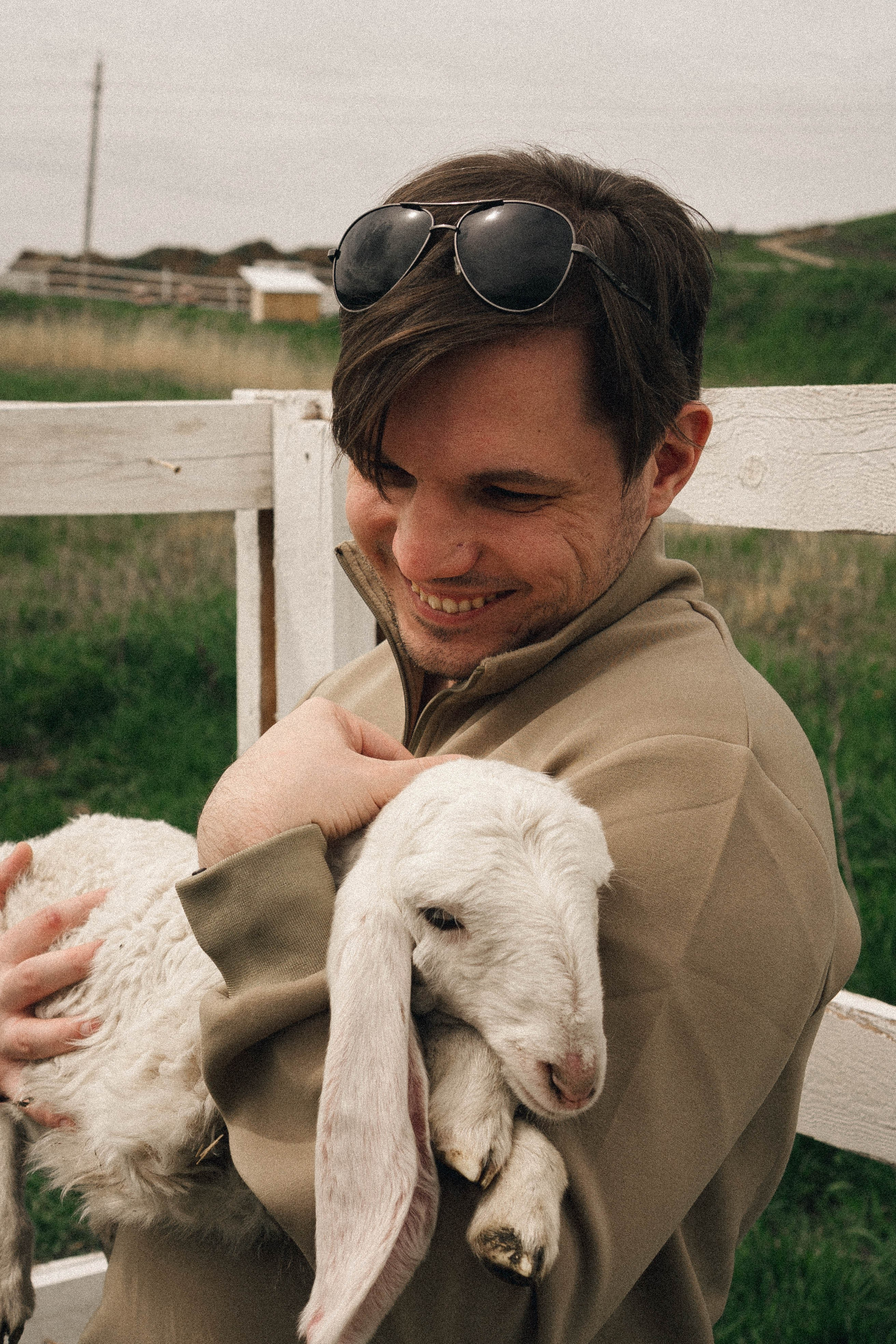 Ферма Альпак. Профессиональный фотограф, Санкт-Петербург — Виктория Богомолова