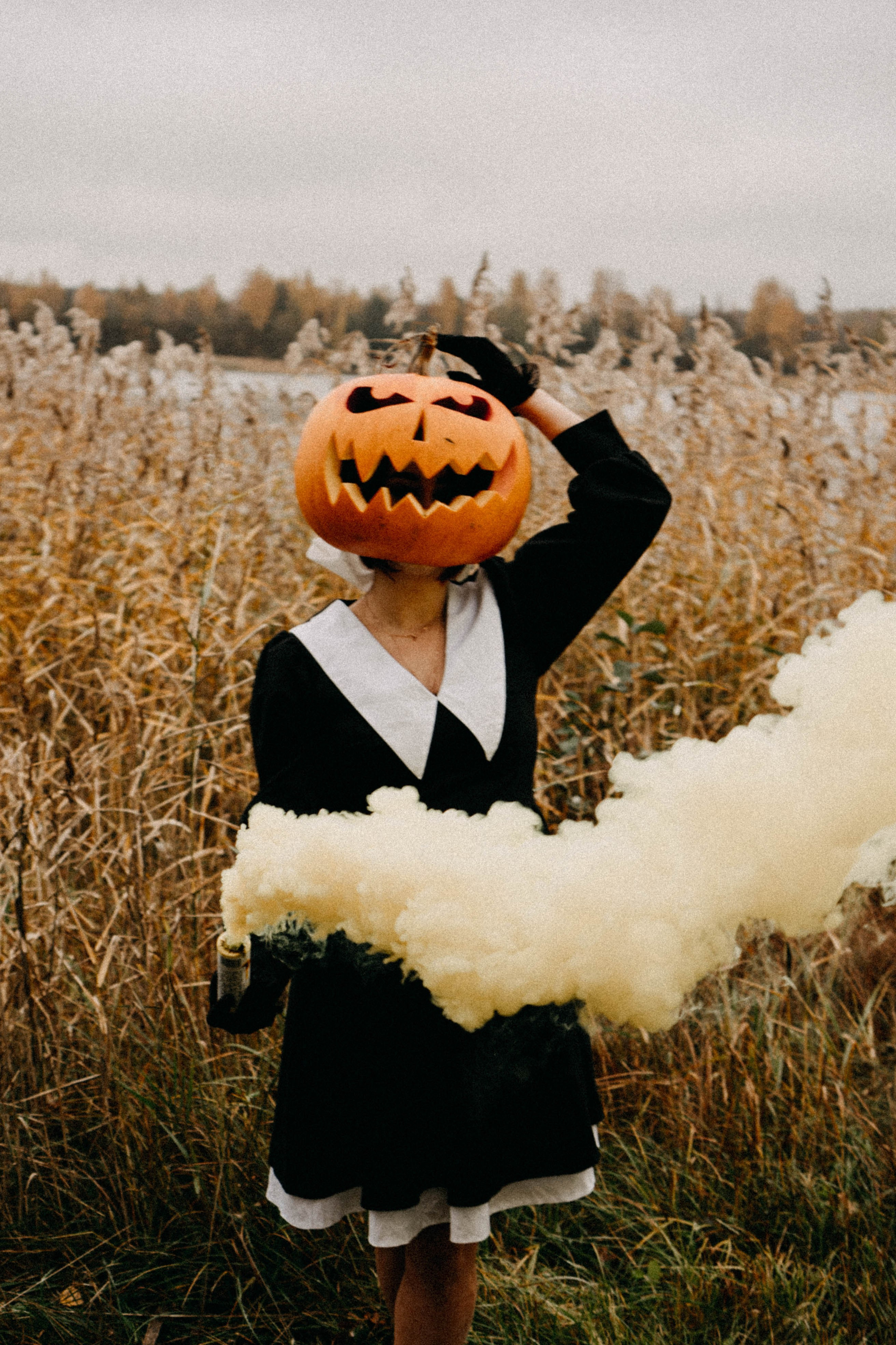 Осеняя. Профессиональный фотограф, Санкт-Петербург — Виктория Богомолова