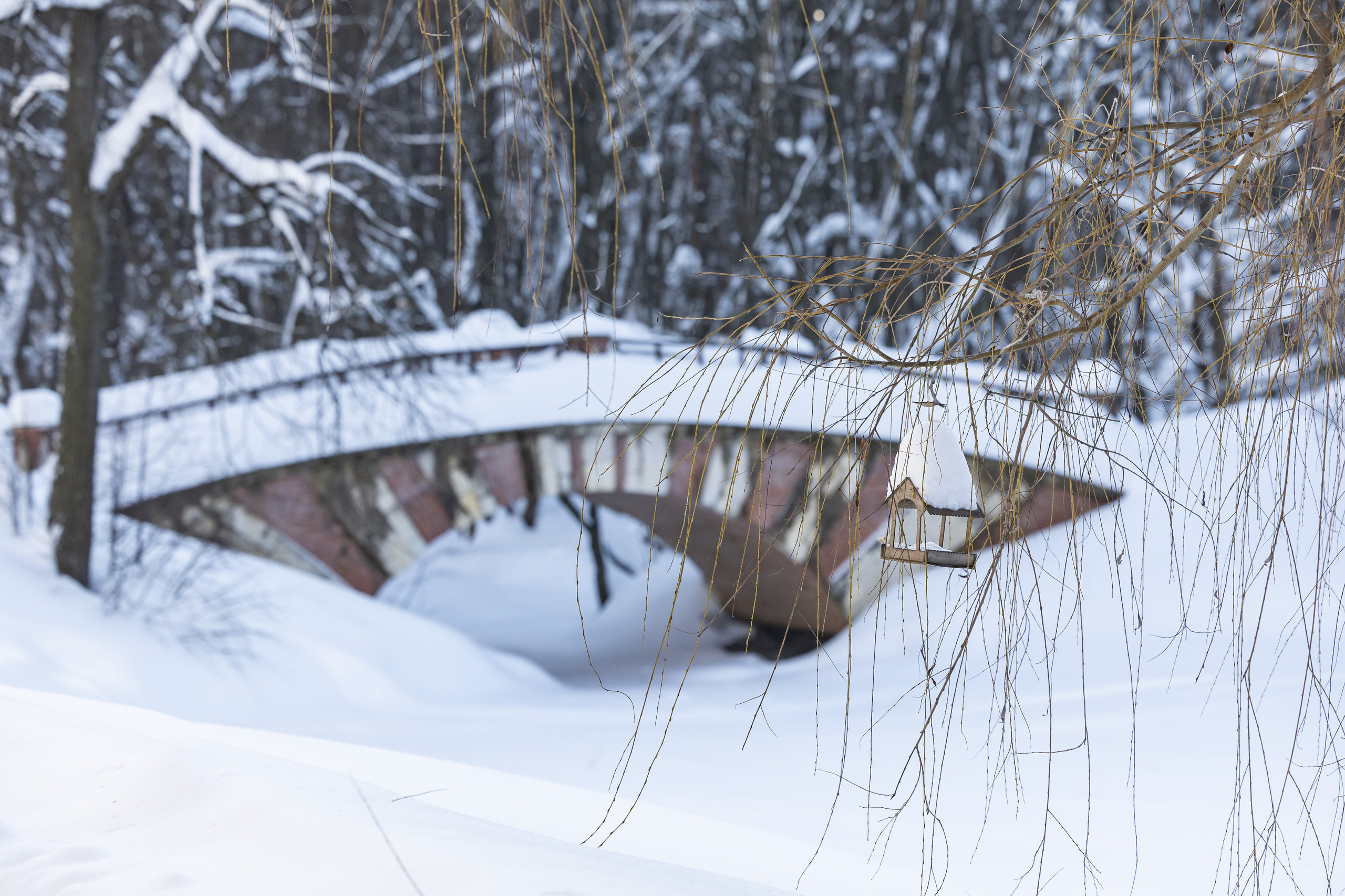 Природа. Фотограф Владимир Охрименко