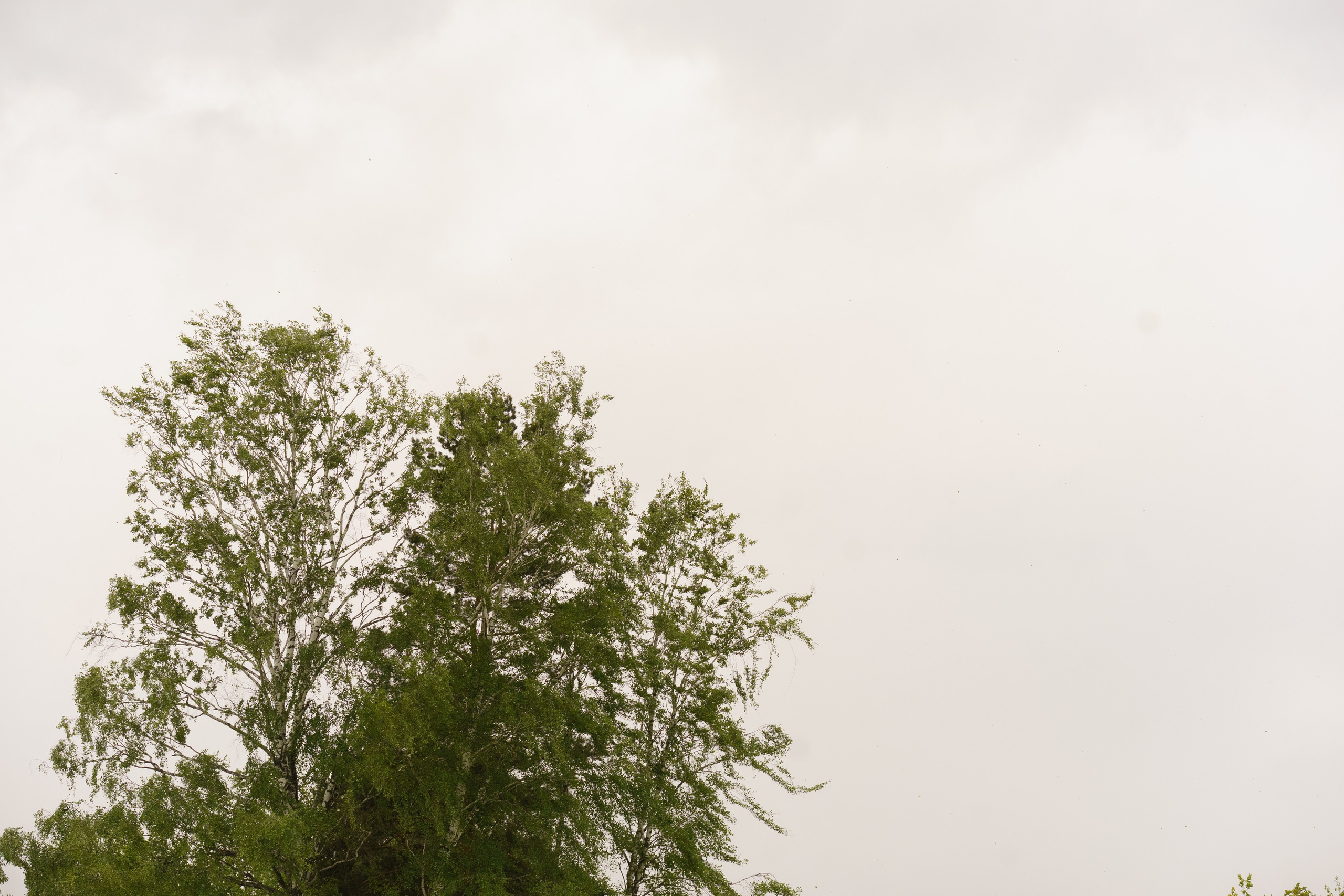 Школа счастья Ильи Даньшина. Лиза Фирстова — самый добрый фотограф