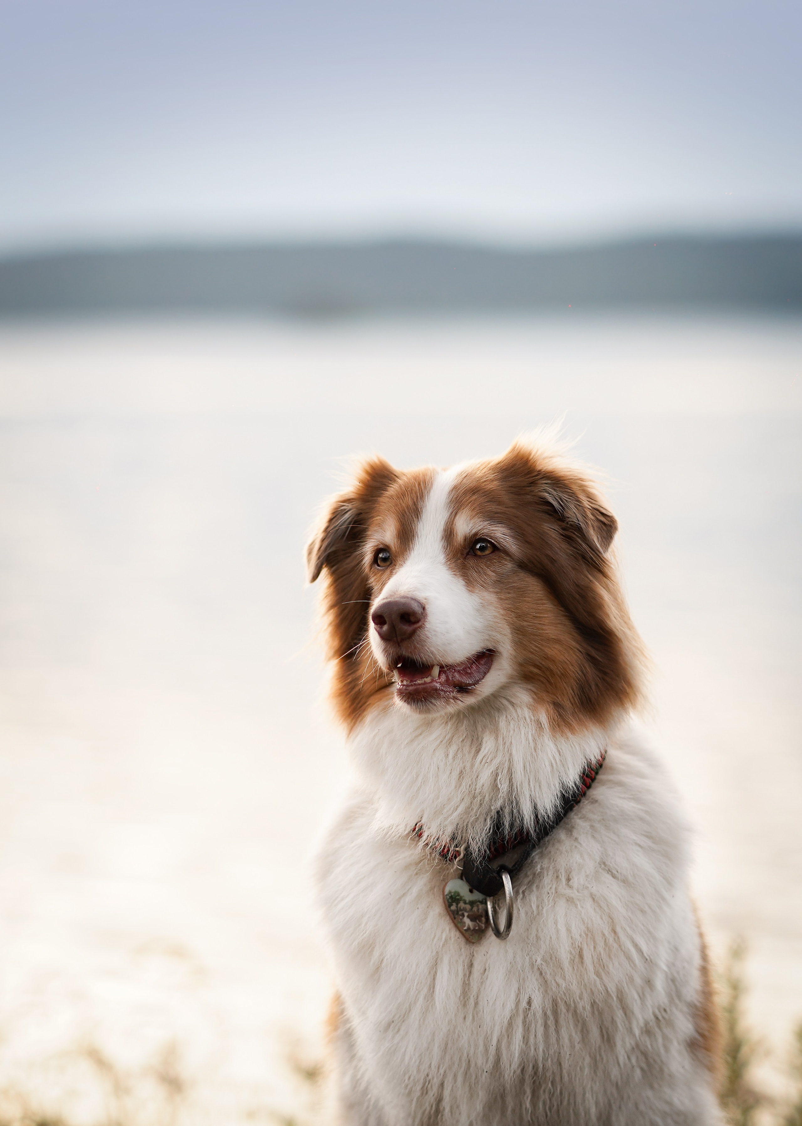 Карелия. Фотограф-анималист в Санкт-Петербурге Яна Мартынова