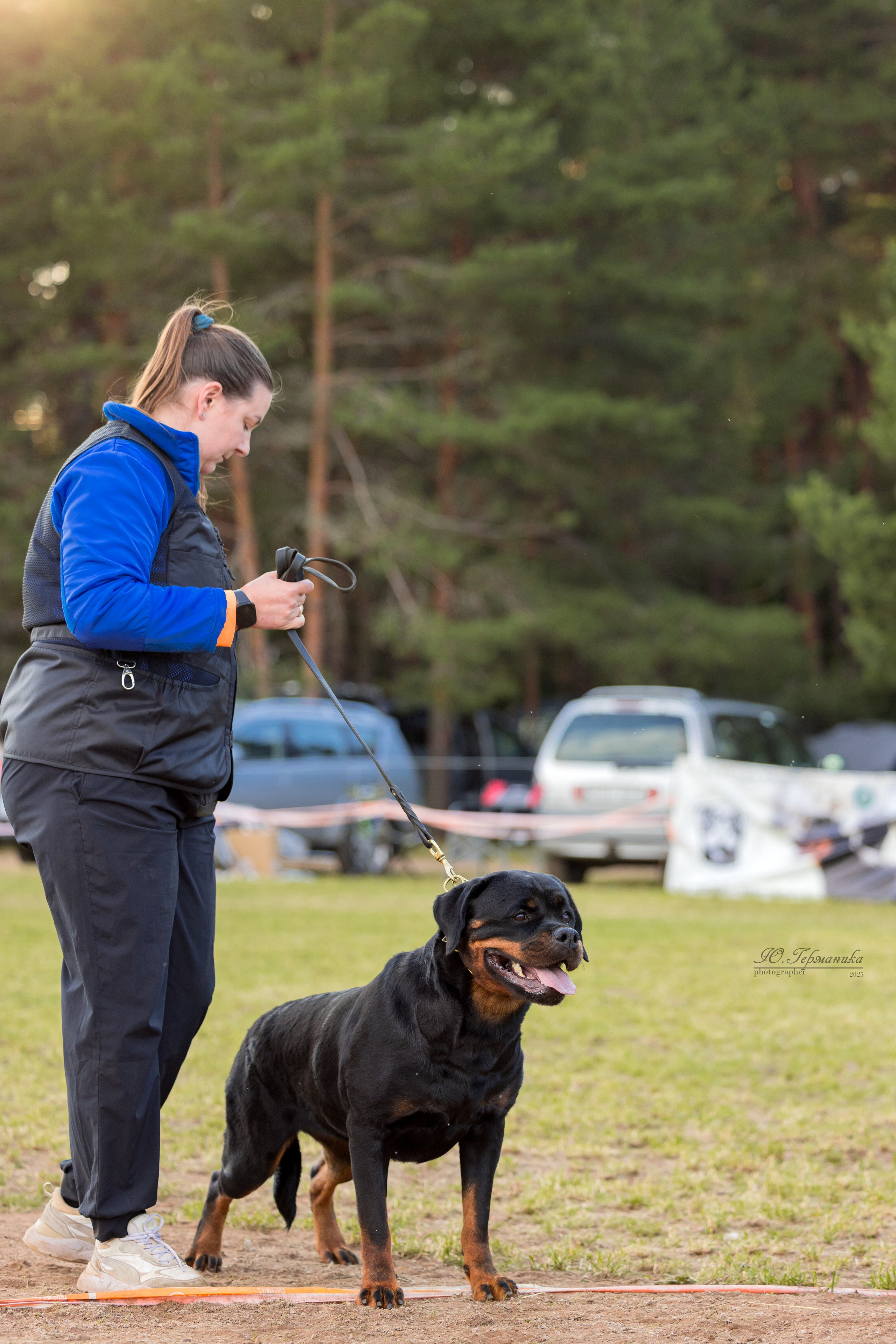Тверь ротвейлеры 5-6.07.2025. Фотограф-анималист Юлия Германика