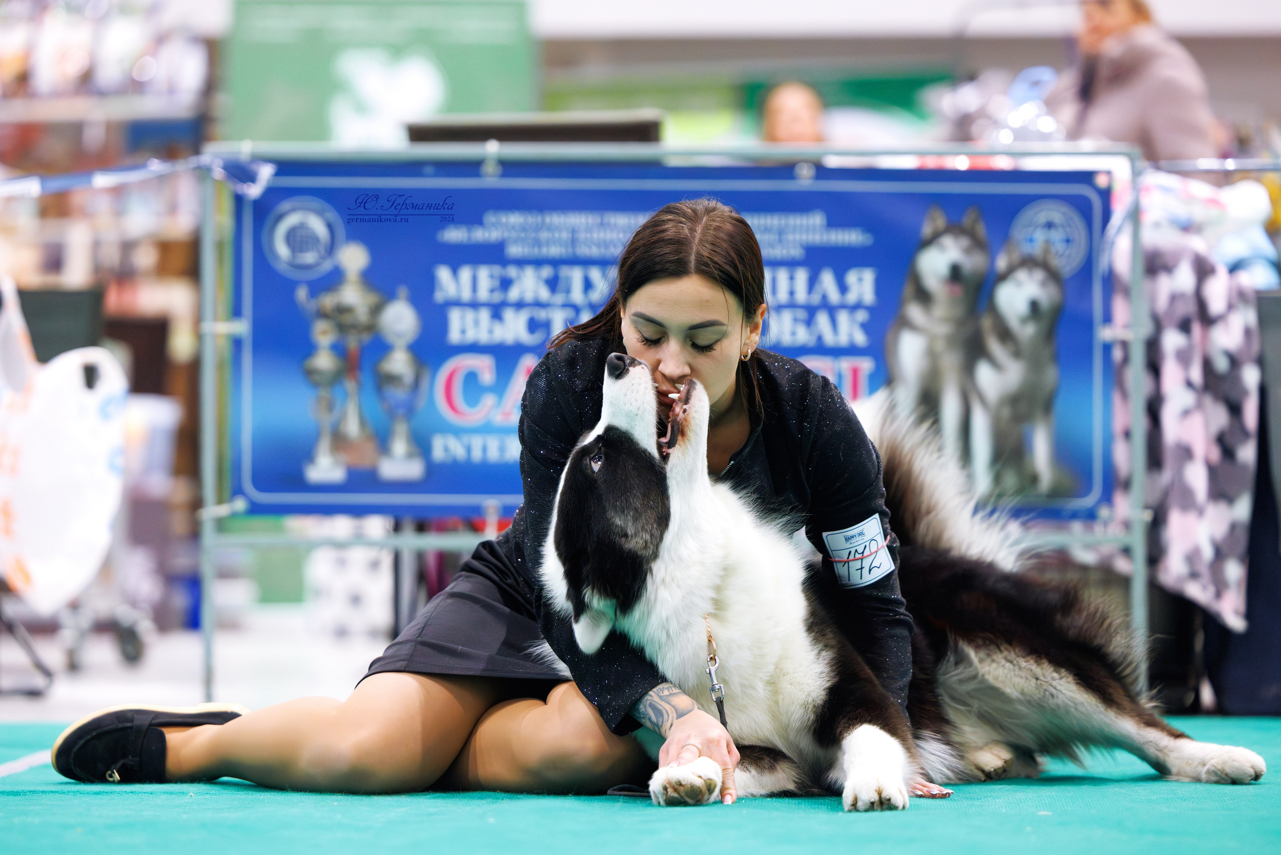 Минск 23.11.2024. Фотограф-анималист Юлия Германика