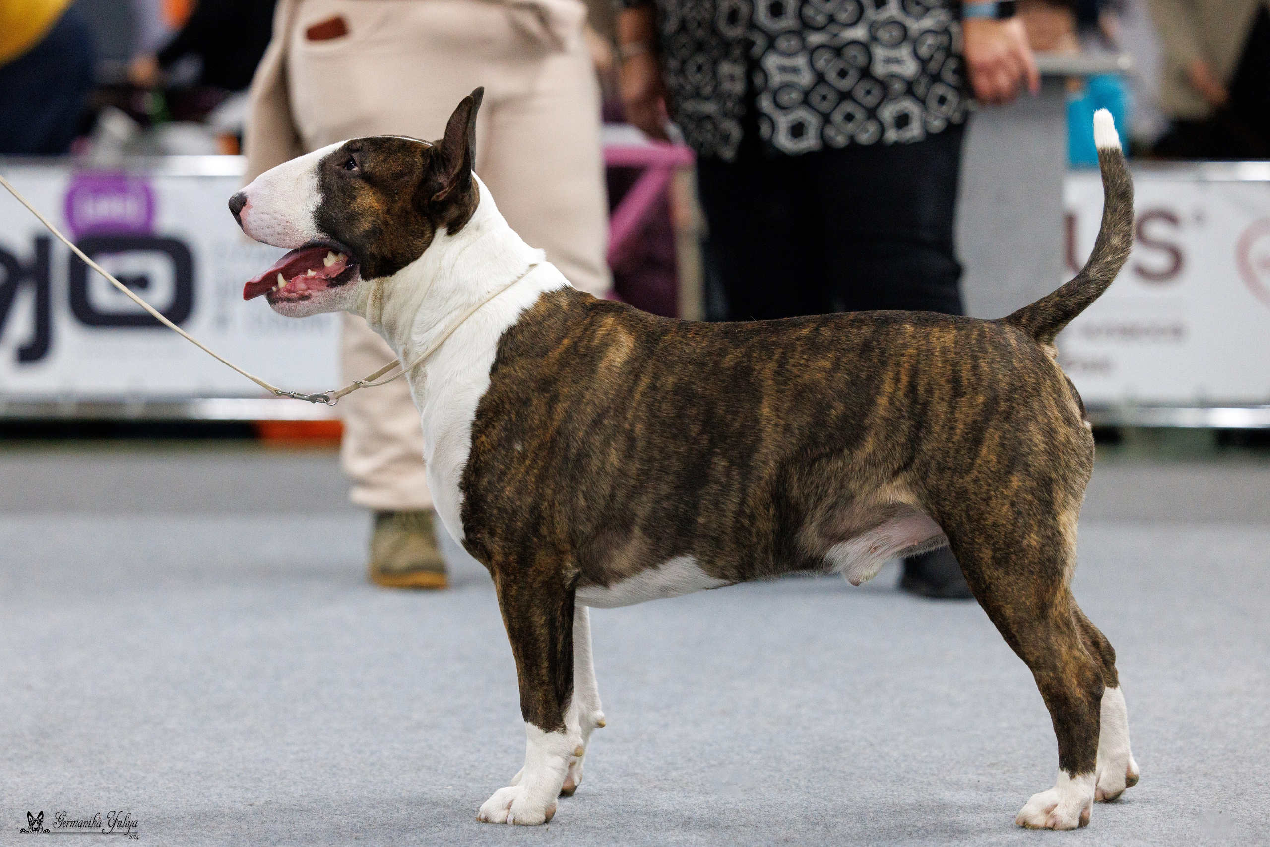 Сфера 28.01. и 4.02.2024. Фотограф-анималист Юлия Германика