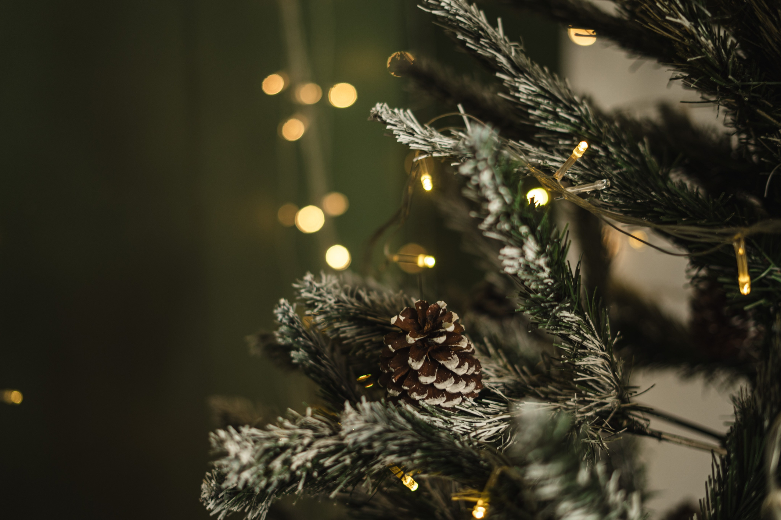 Фотостудия "Импульс" Саратов новогодняя фотосессия