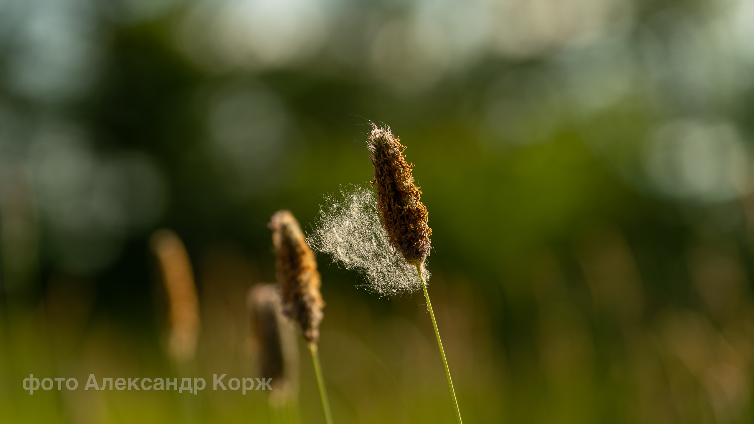 Фотографии Северного поселка Айхал. Фотографии и видеосъемка, Айхал, Удачный, Якутия. Фотографии Айхал