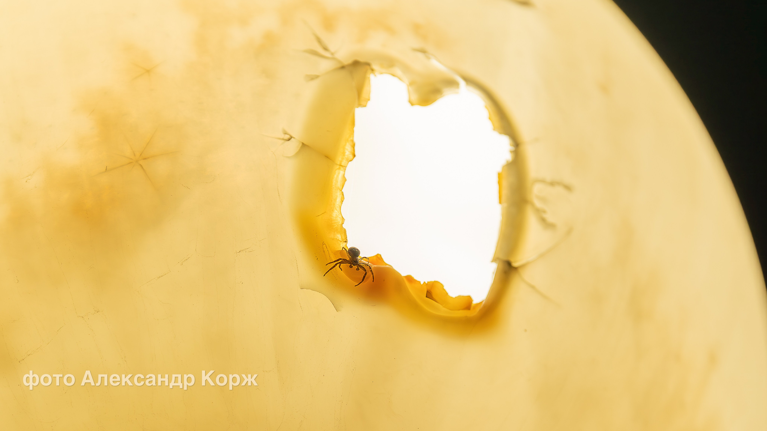 Фотографии Северного поселка Айхал. Фотографии и видеосъемка, Айхал, Удачный, Якутия. Фотографии Айхал