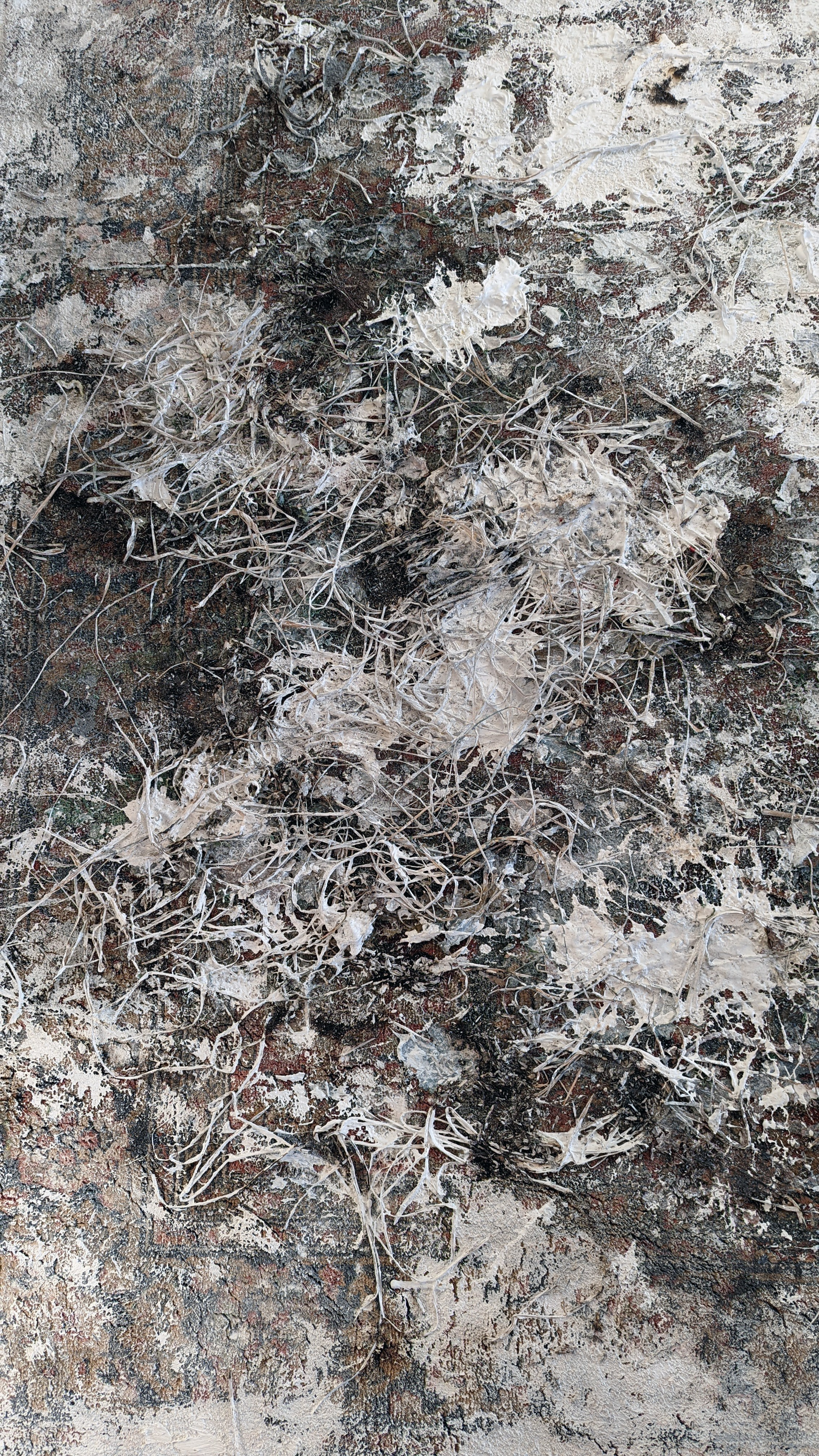 Белый ковёр. Рузанна Тетерина