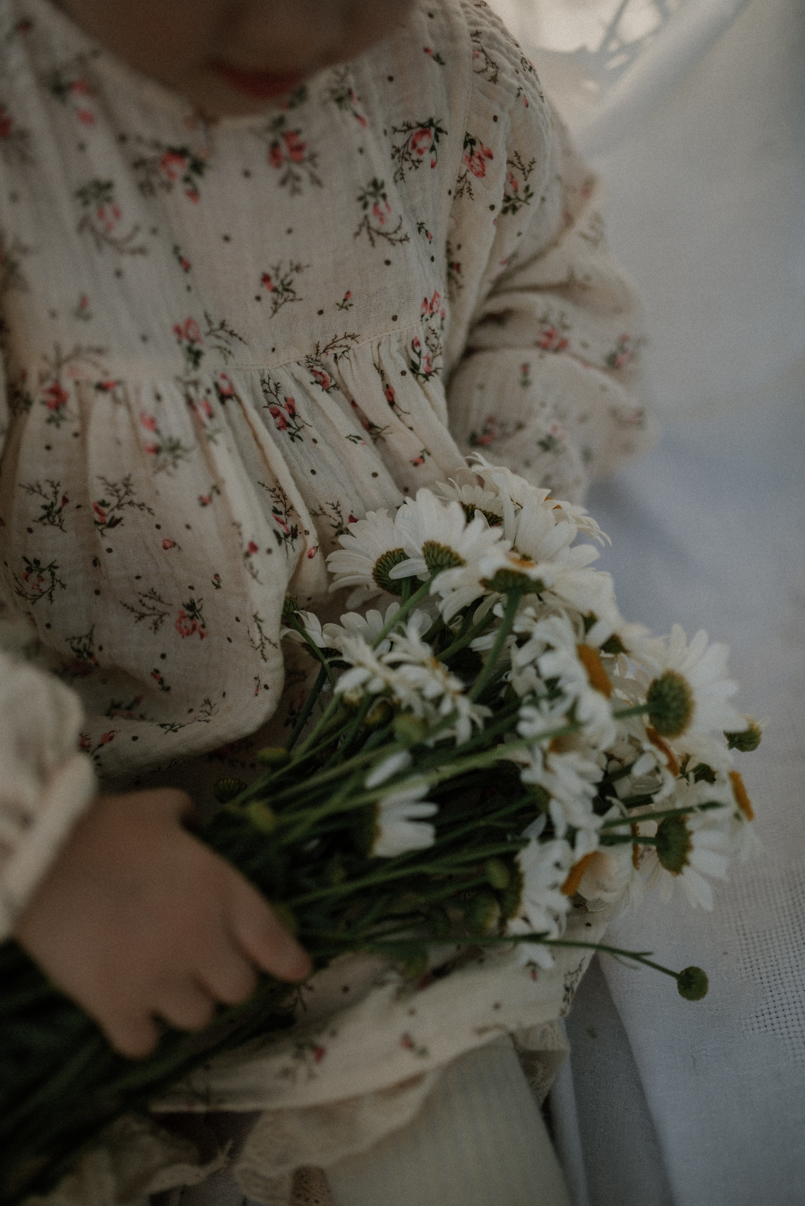 Ида, Мира и ромашки. Свадебный и семейный фотограф Кожевникова Лариса